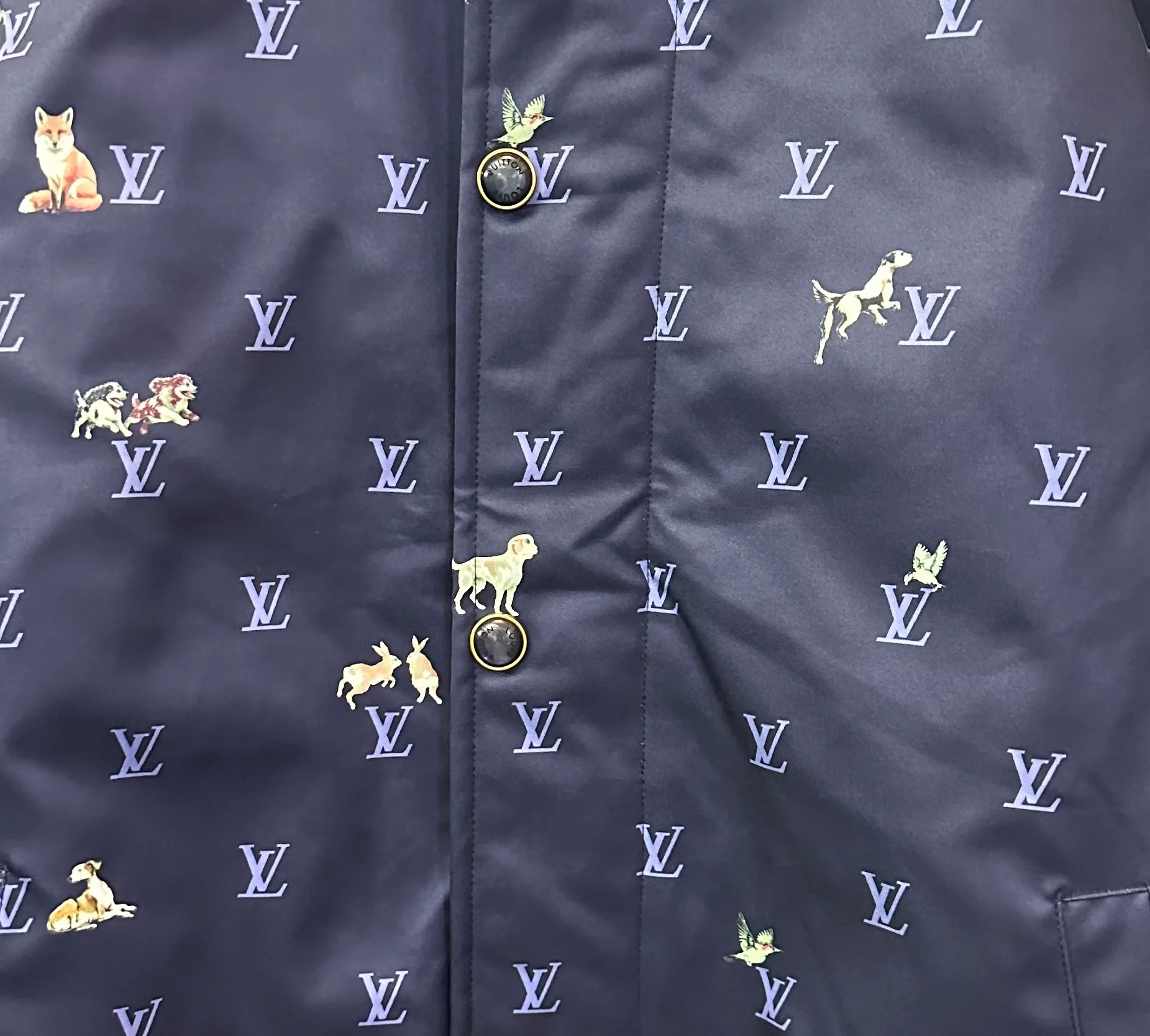 Куртки И Пуховики Мужские Louis Vuitton 350537