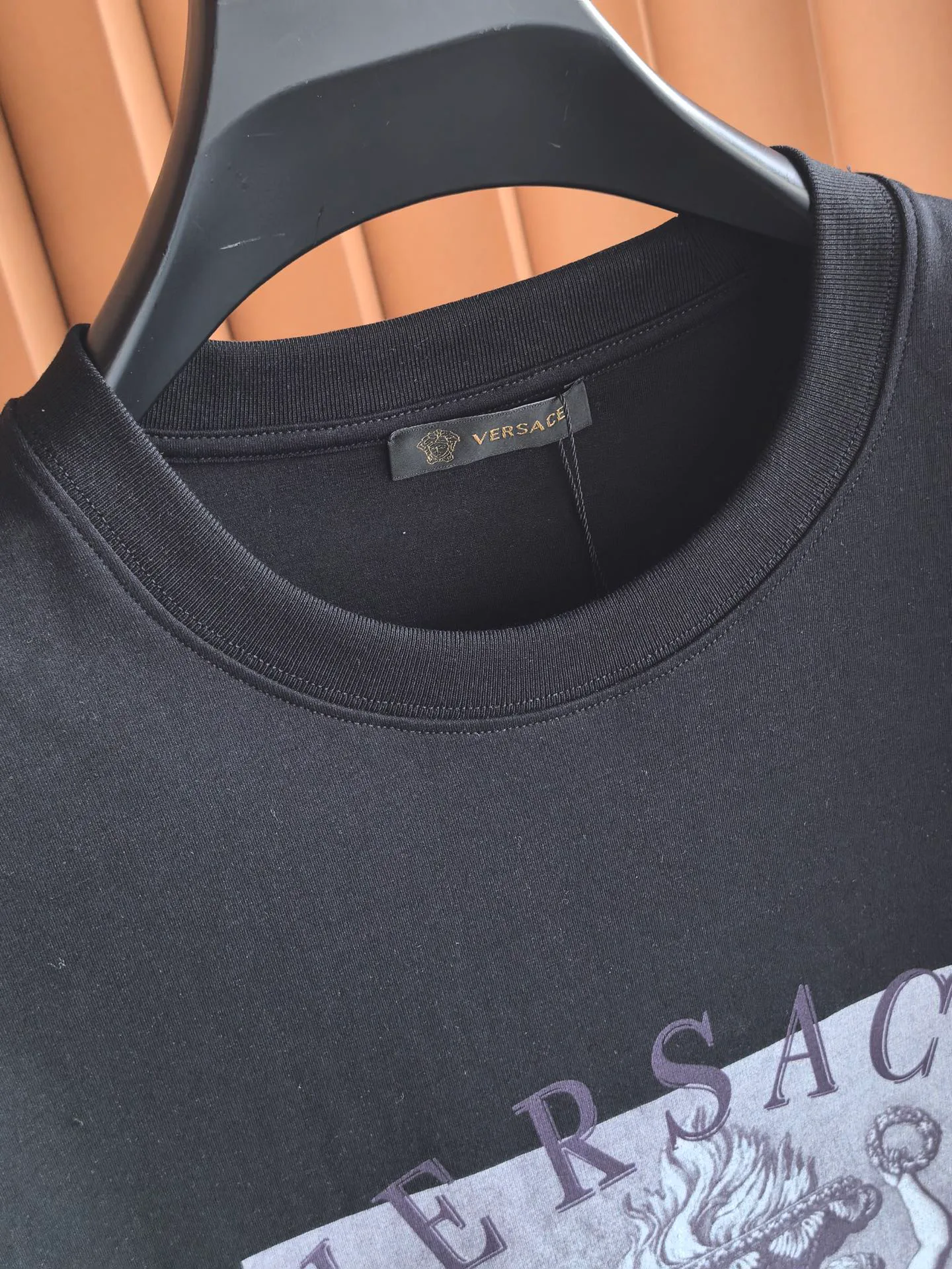 Футболки Мужские Versace 10210022