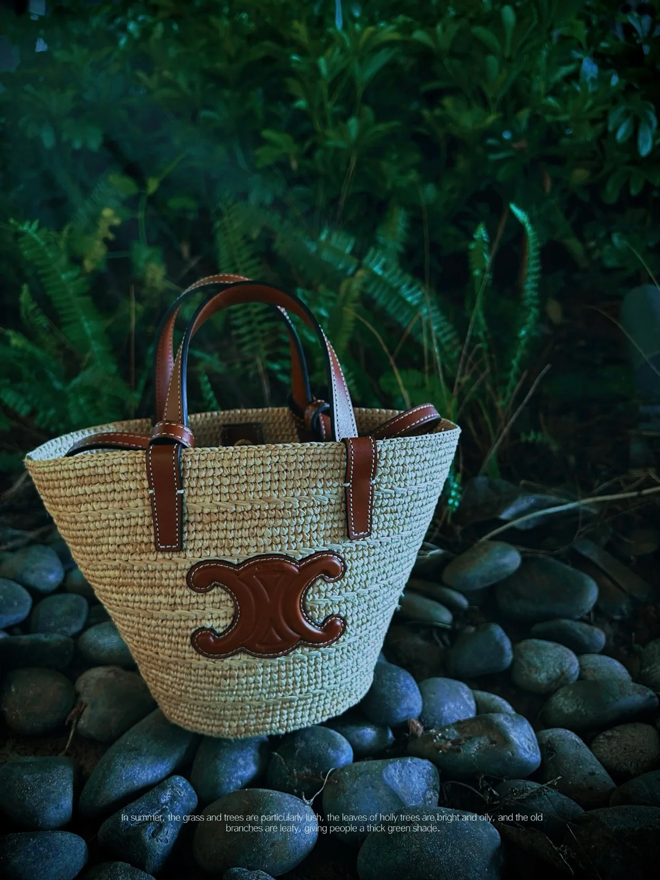 Сумки На Ремне Женские Celine 116315