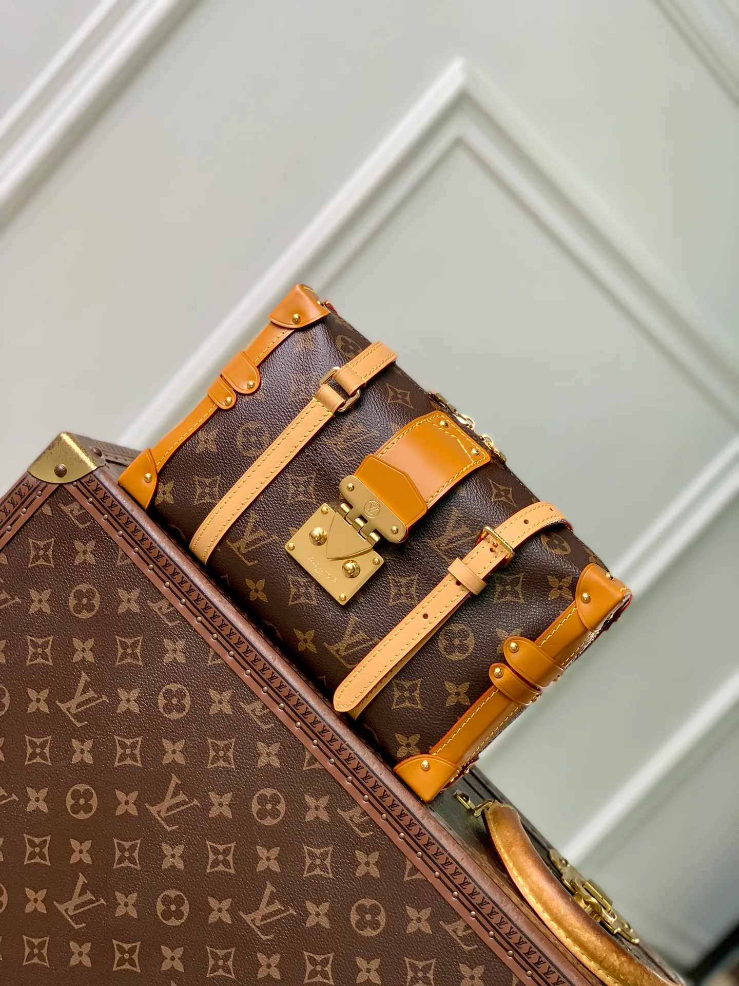 Классические Сумки Женские Louis Vuitton 18147462