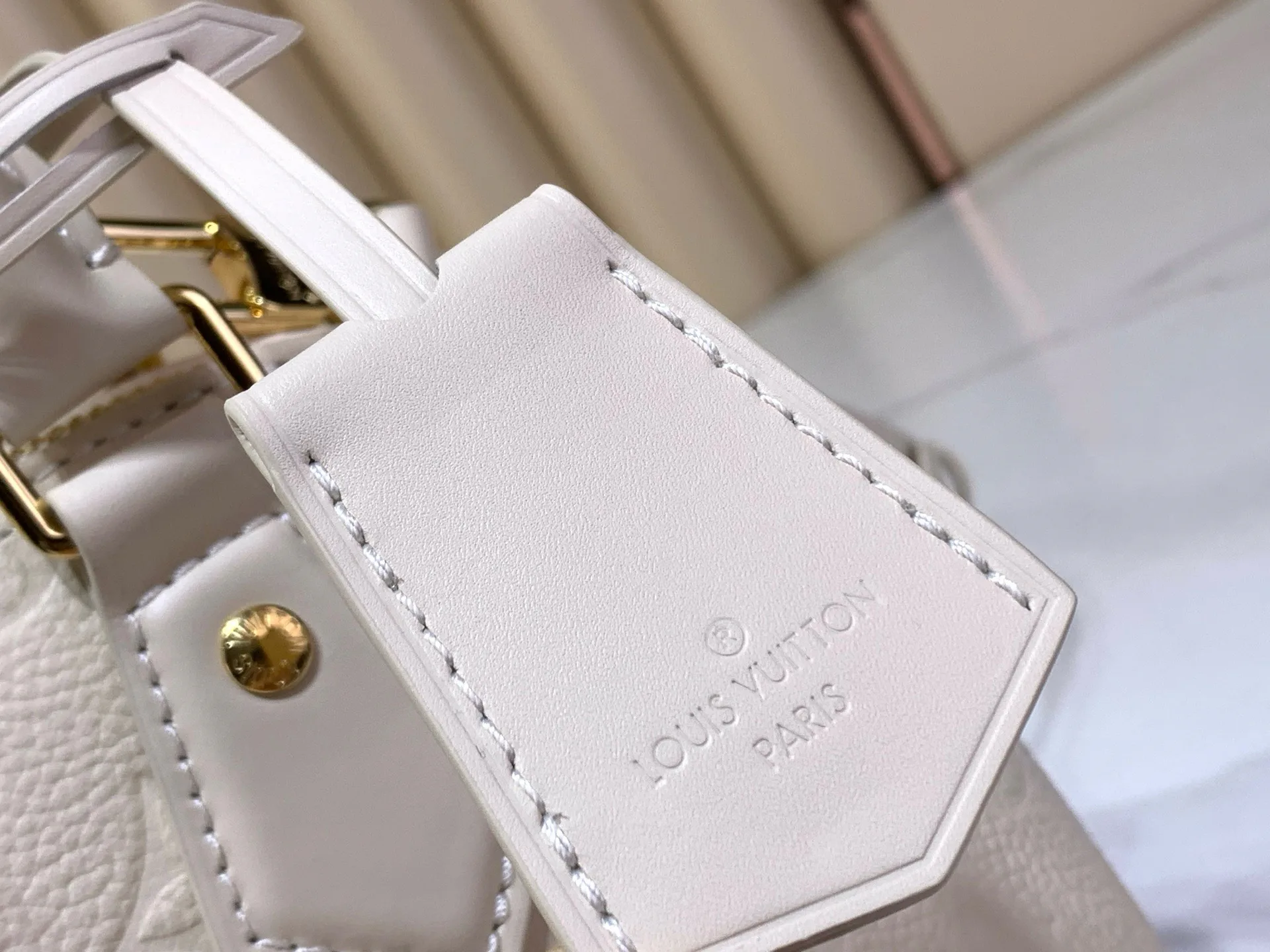 Классические Сумки Женские Louis Vuitton 17499358