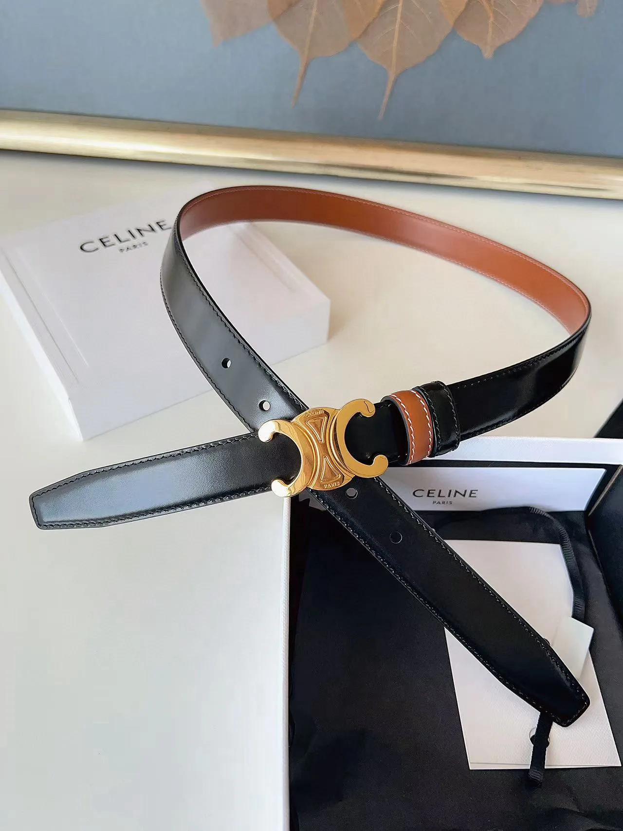 Поясные Сумки Женские Celine 11886358