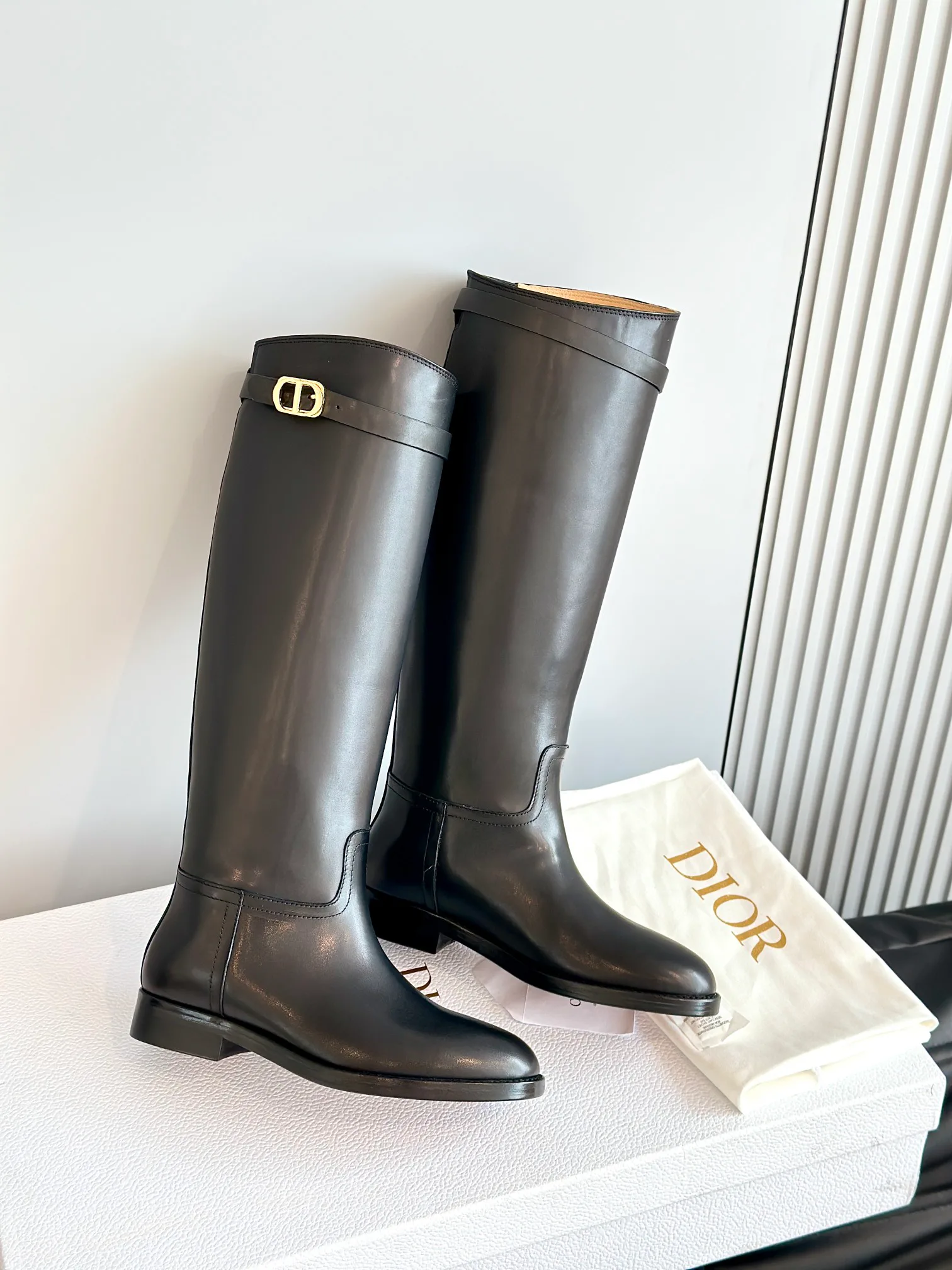 Сапоги Женские Christian Dior 18243654
