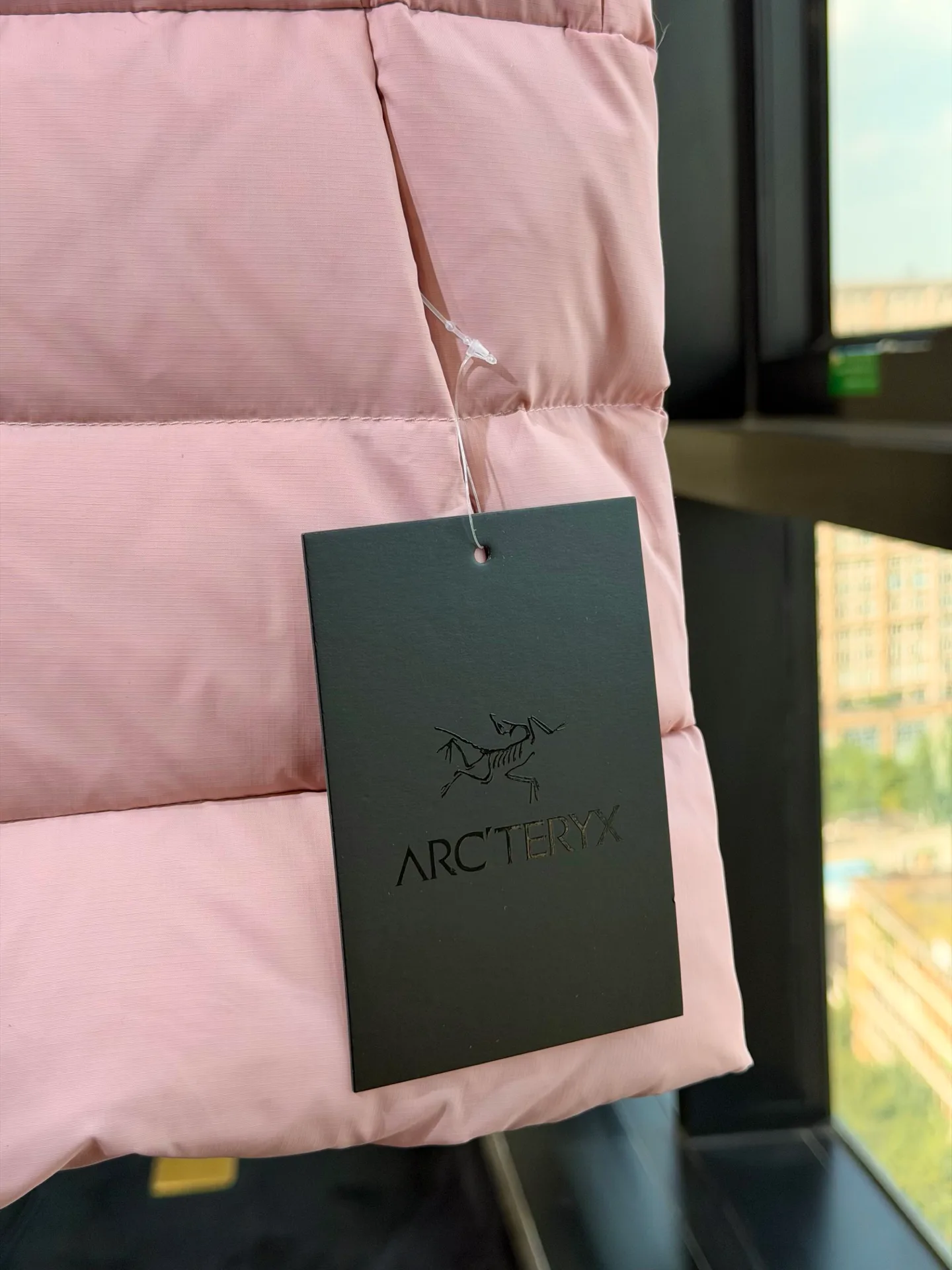 Куртки И Пуховики Женские Arcteryx 18725302