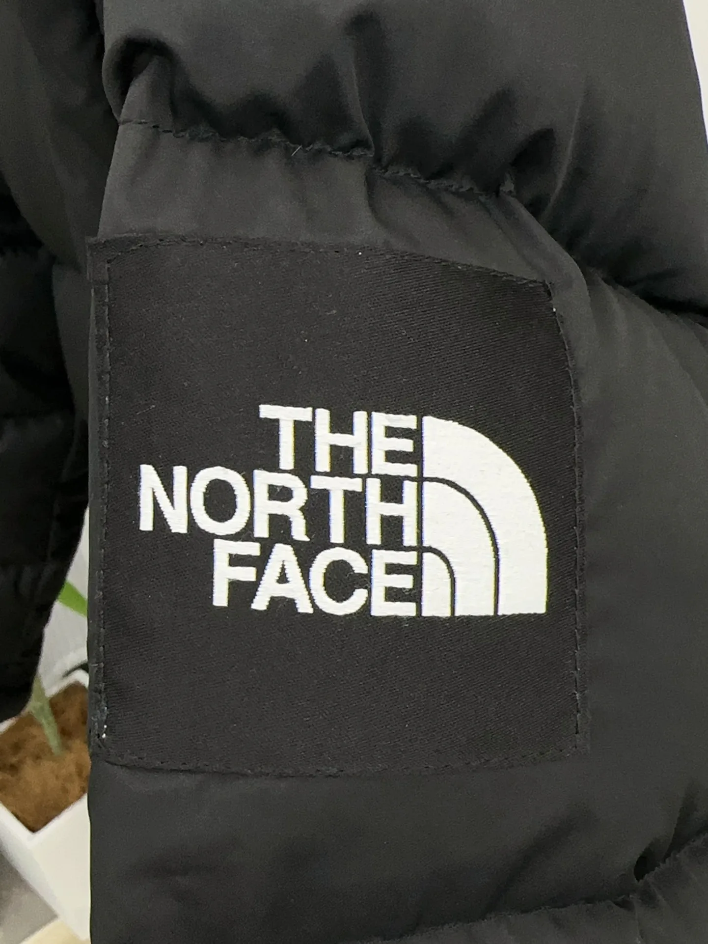 Куртки И Пуховики Женские The North Face 18129650