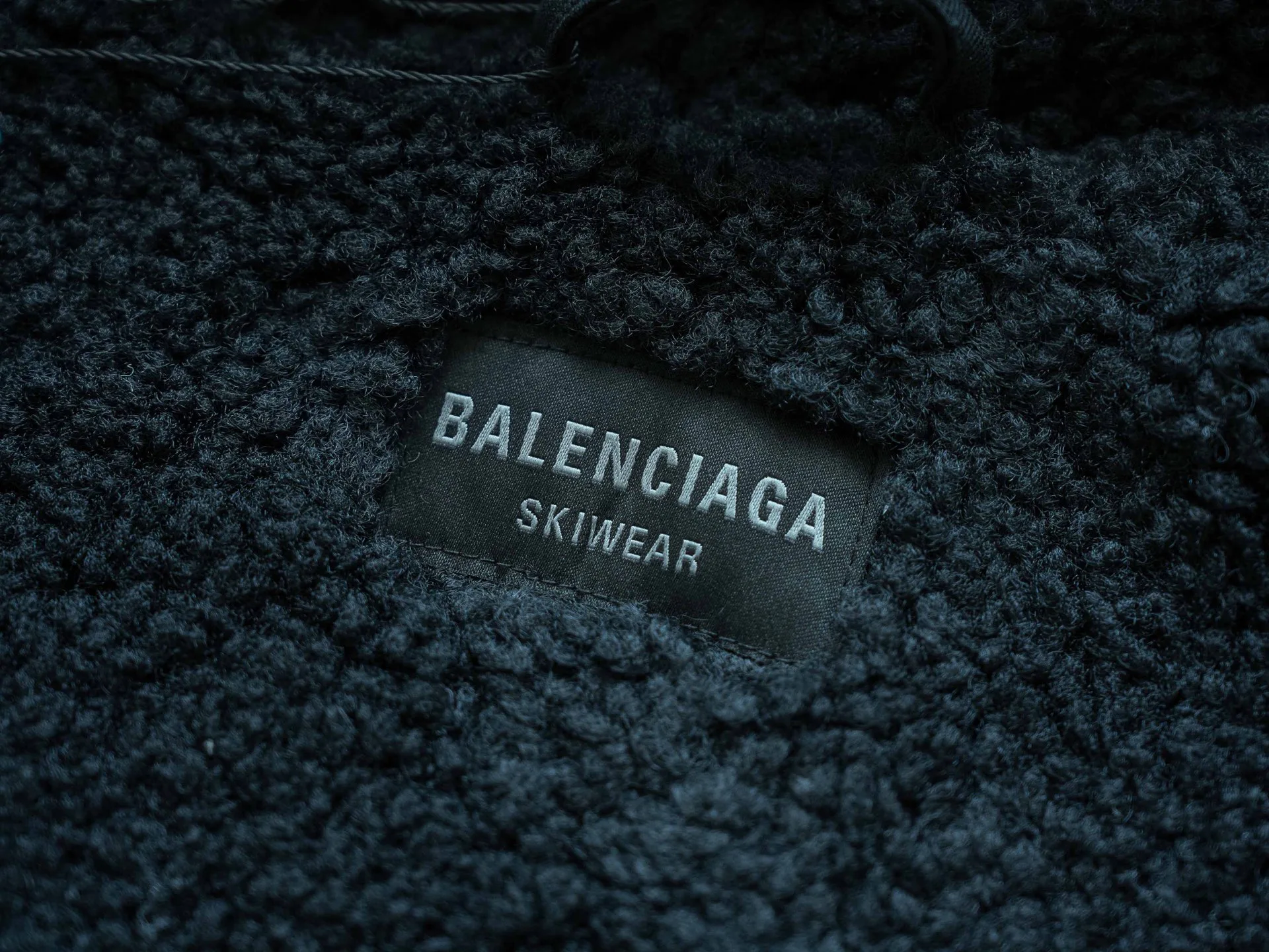 Куртки И Пуховики Мужские Balenciaga 845939