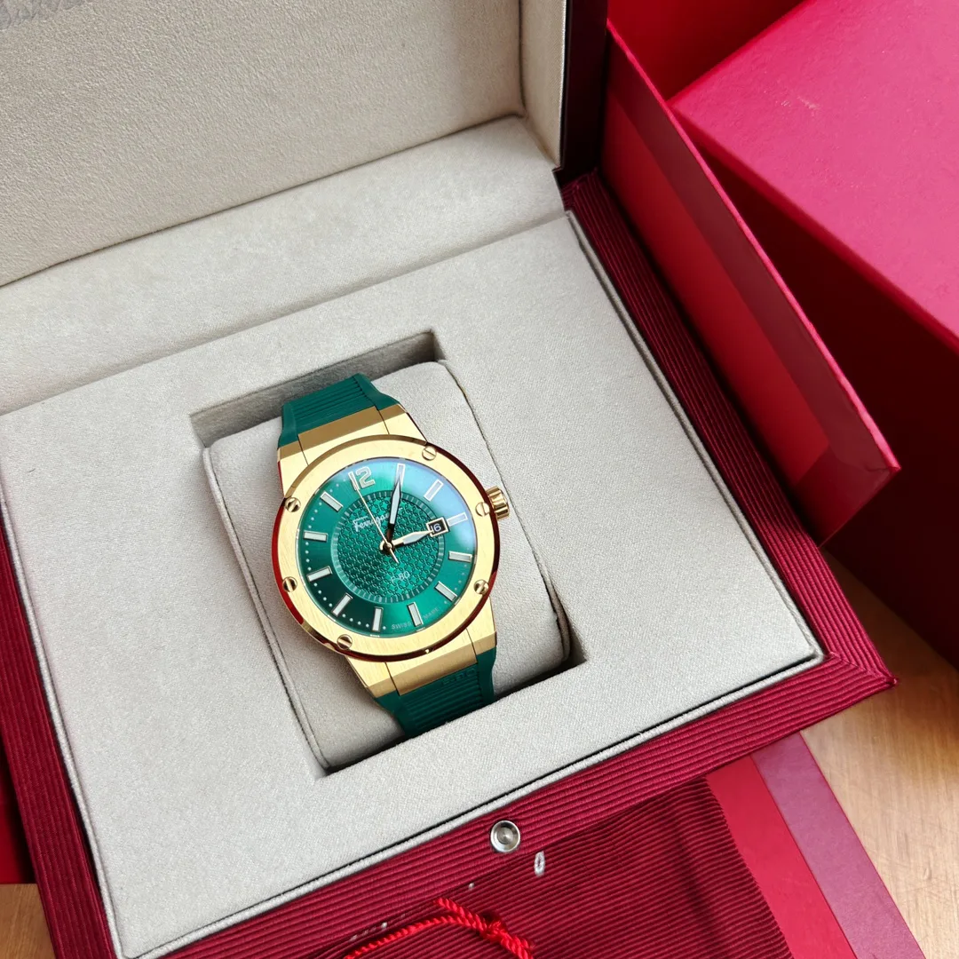 Часы Мужские Salvatore Ferragamo 1284240