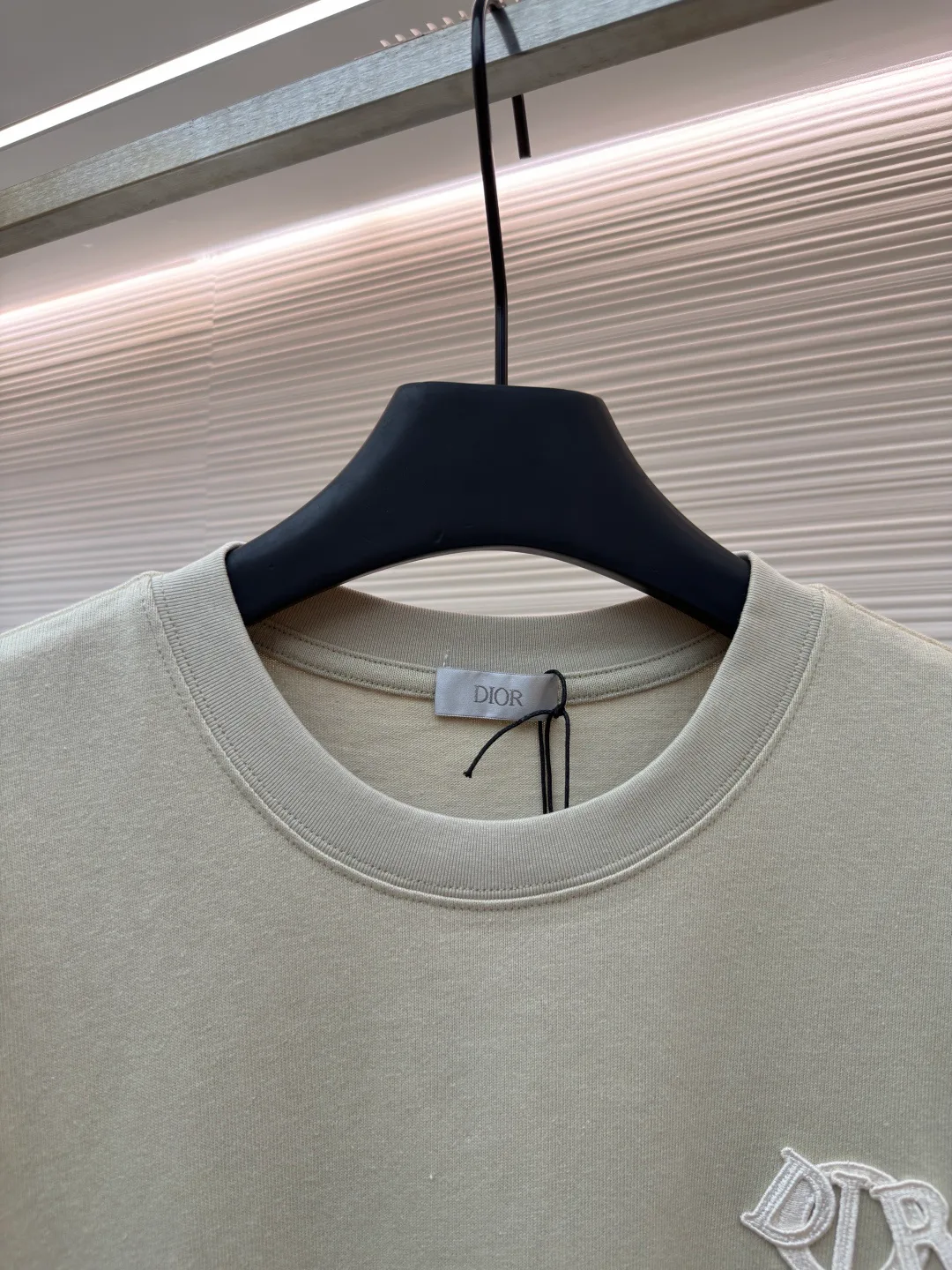 Футболки Мужские Christian Dior 11701875