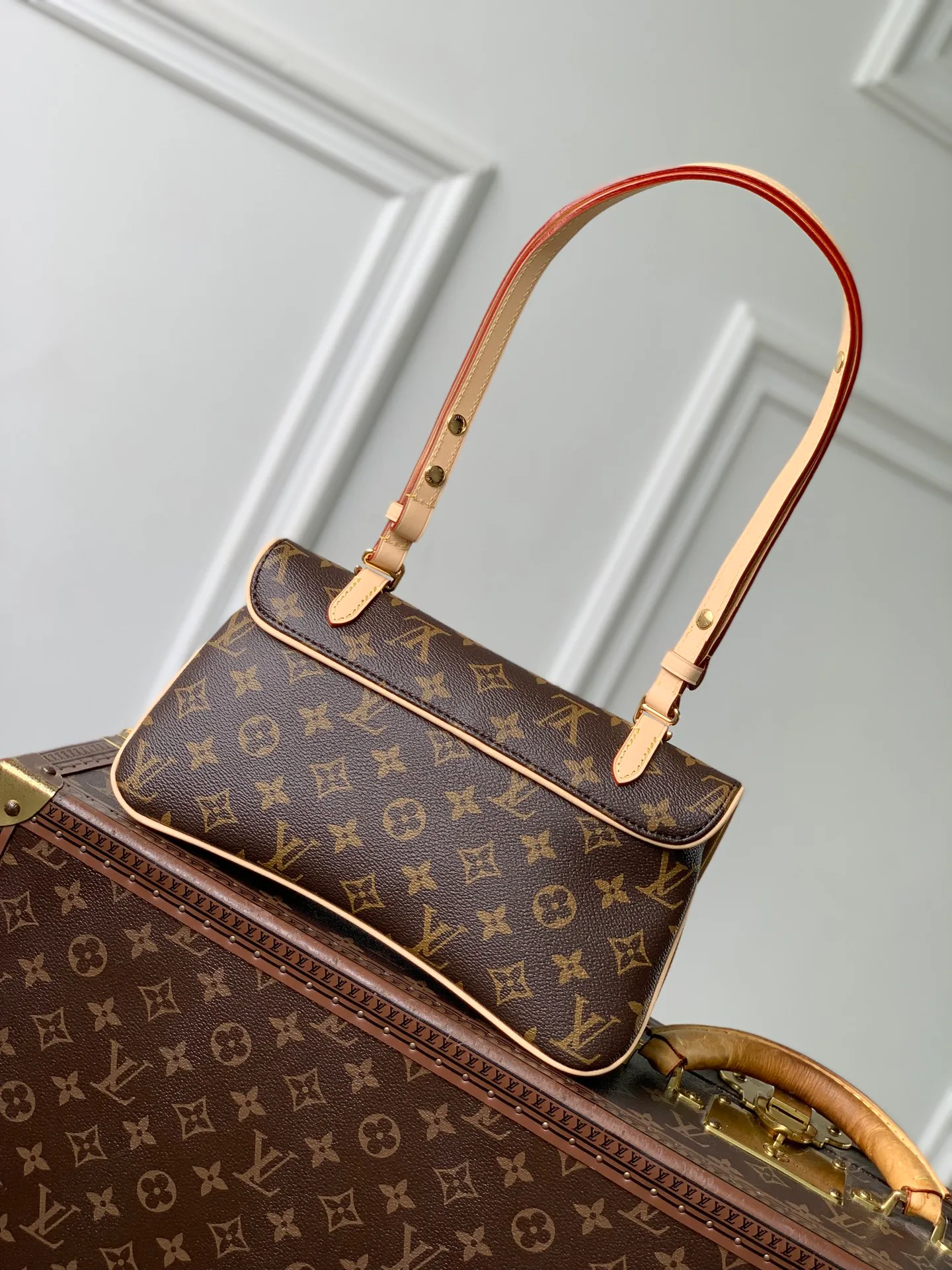 Классические Сумки Женские Louis Vuitton 18147432