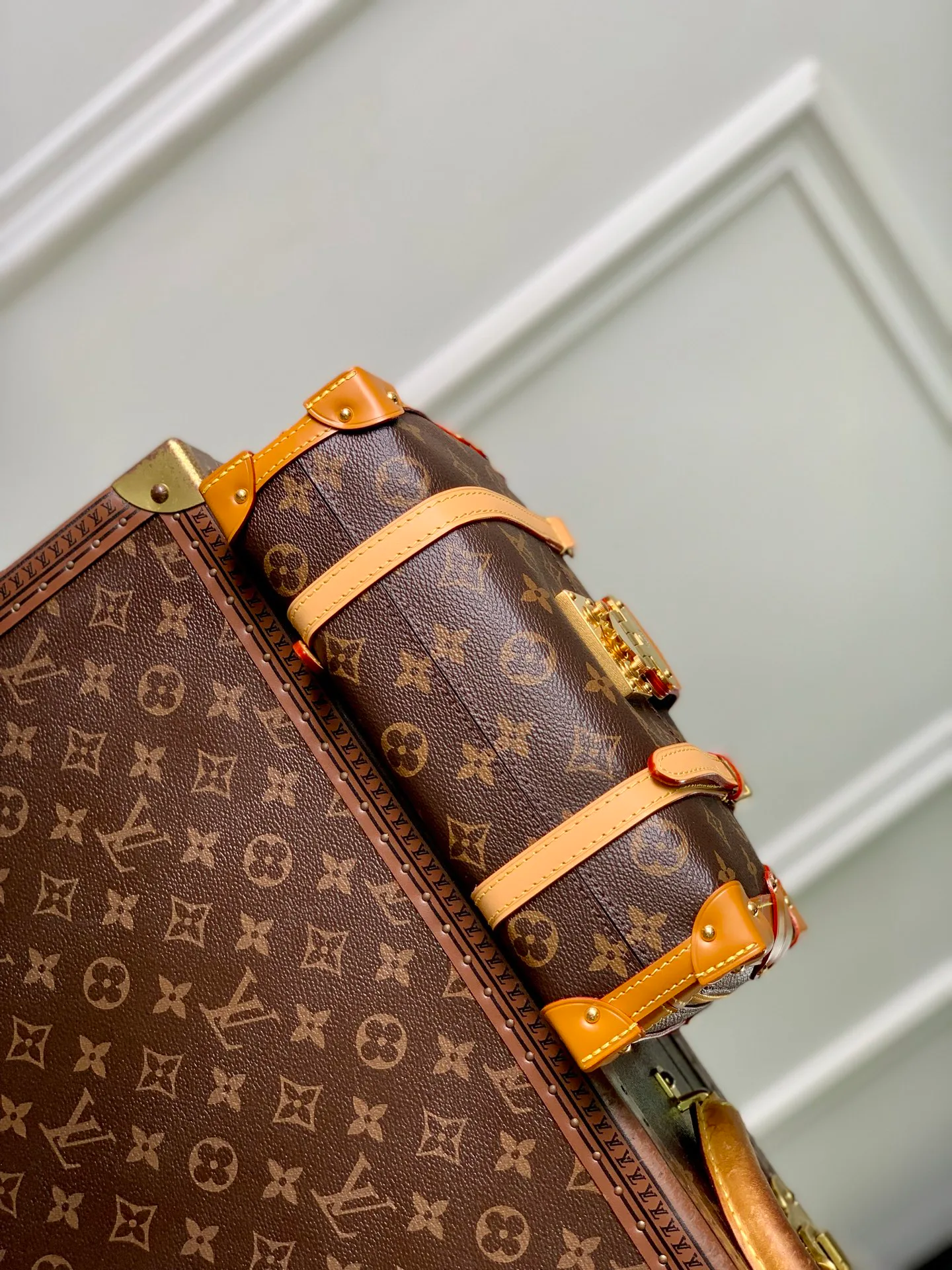 Классические Сумки Женские Louis Vuitton 18147462