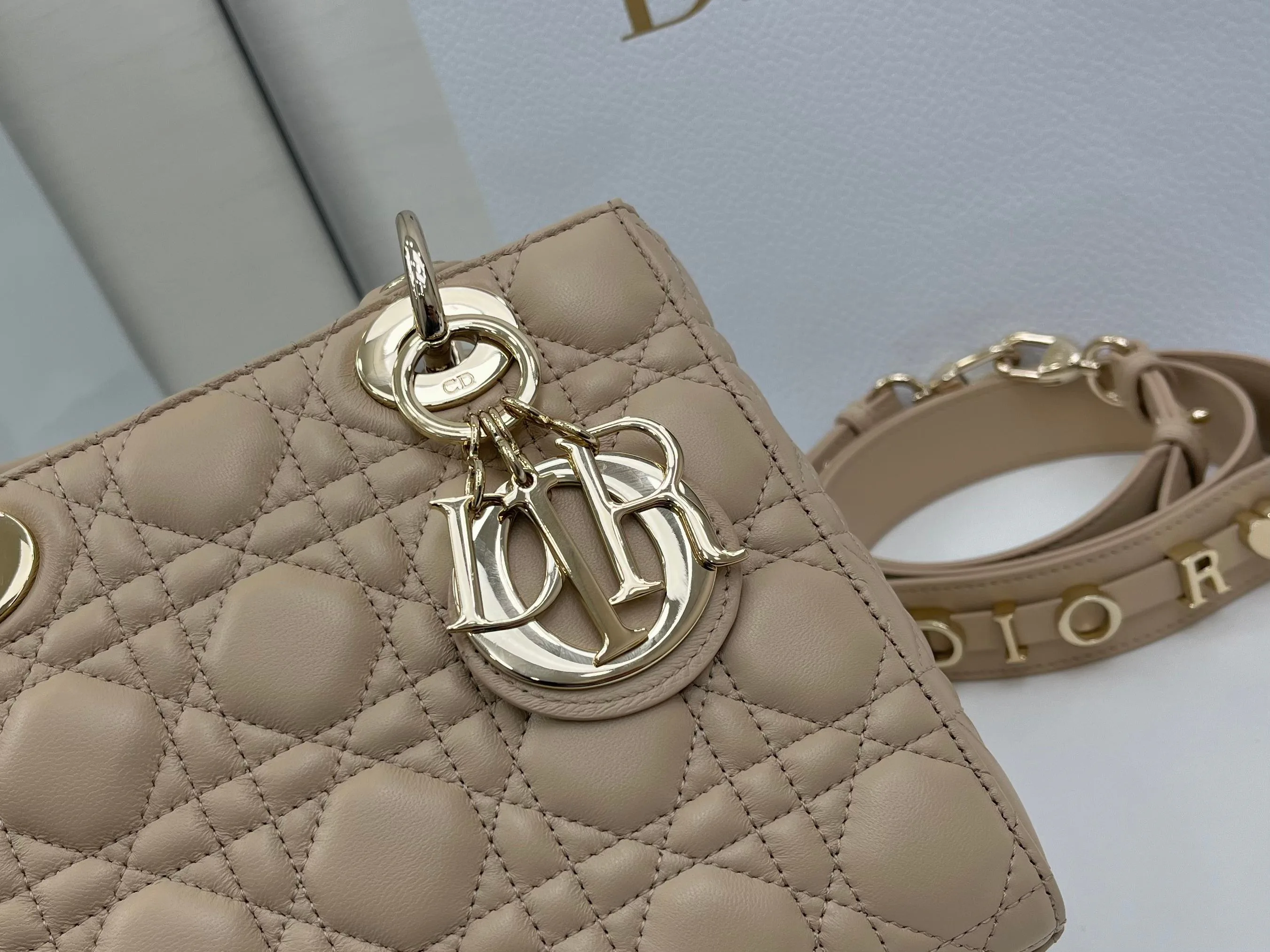Сумки На Ремне Женские Christian Dior 565876