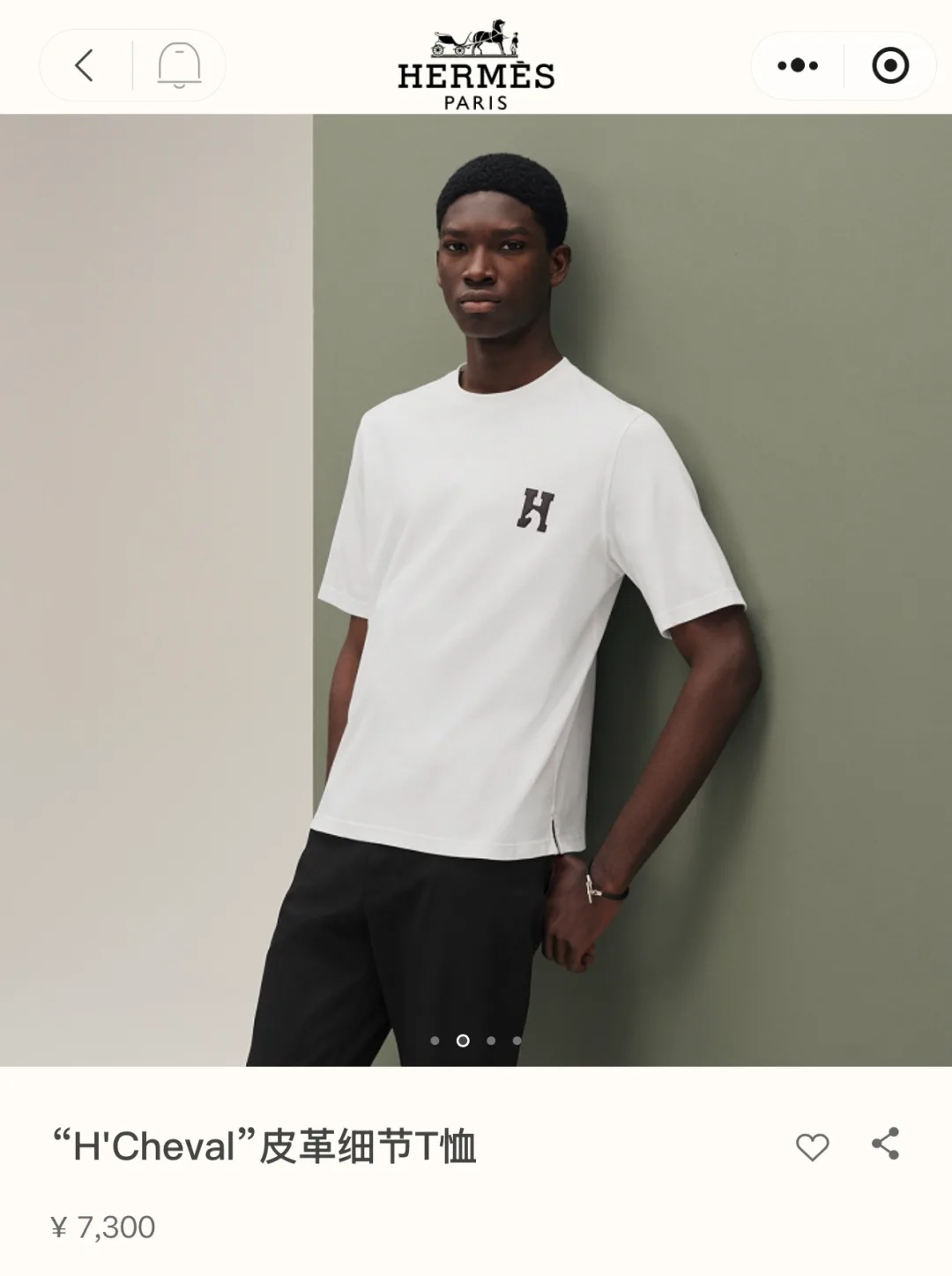 Футболки Мужские Hermes 7854081