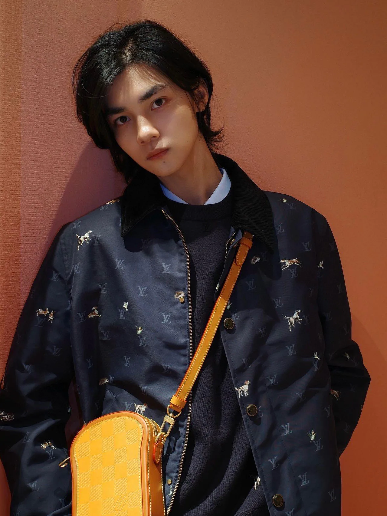 Куртки И Пуховики Мужские Louis Vuitton 350537