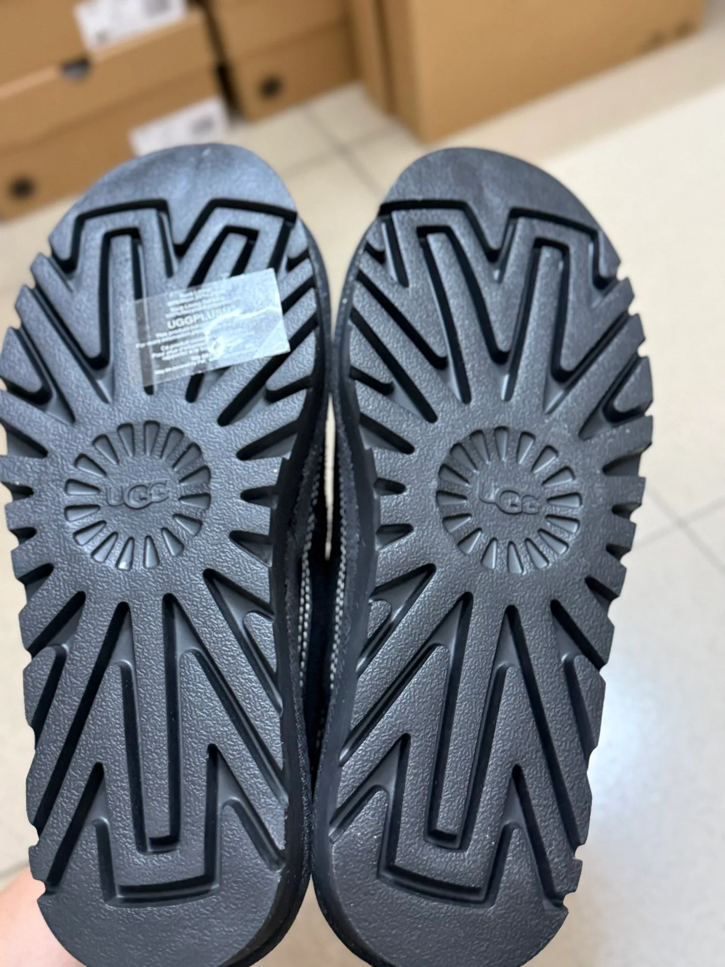 Ботинки Мужские Ugg 3882