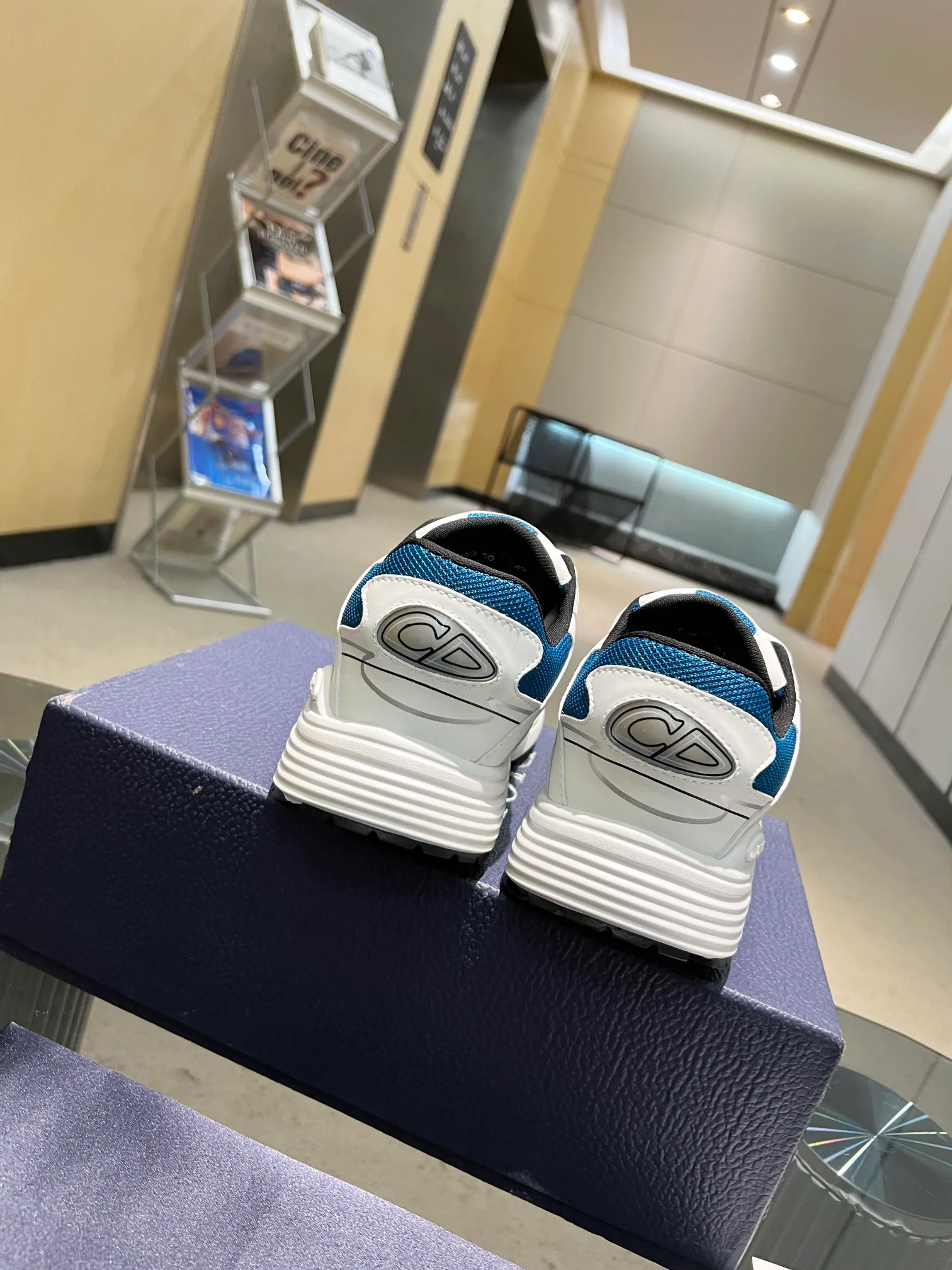 Кроссовки Женские Christian Dior 25511