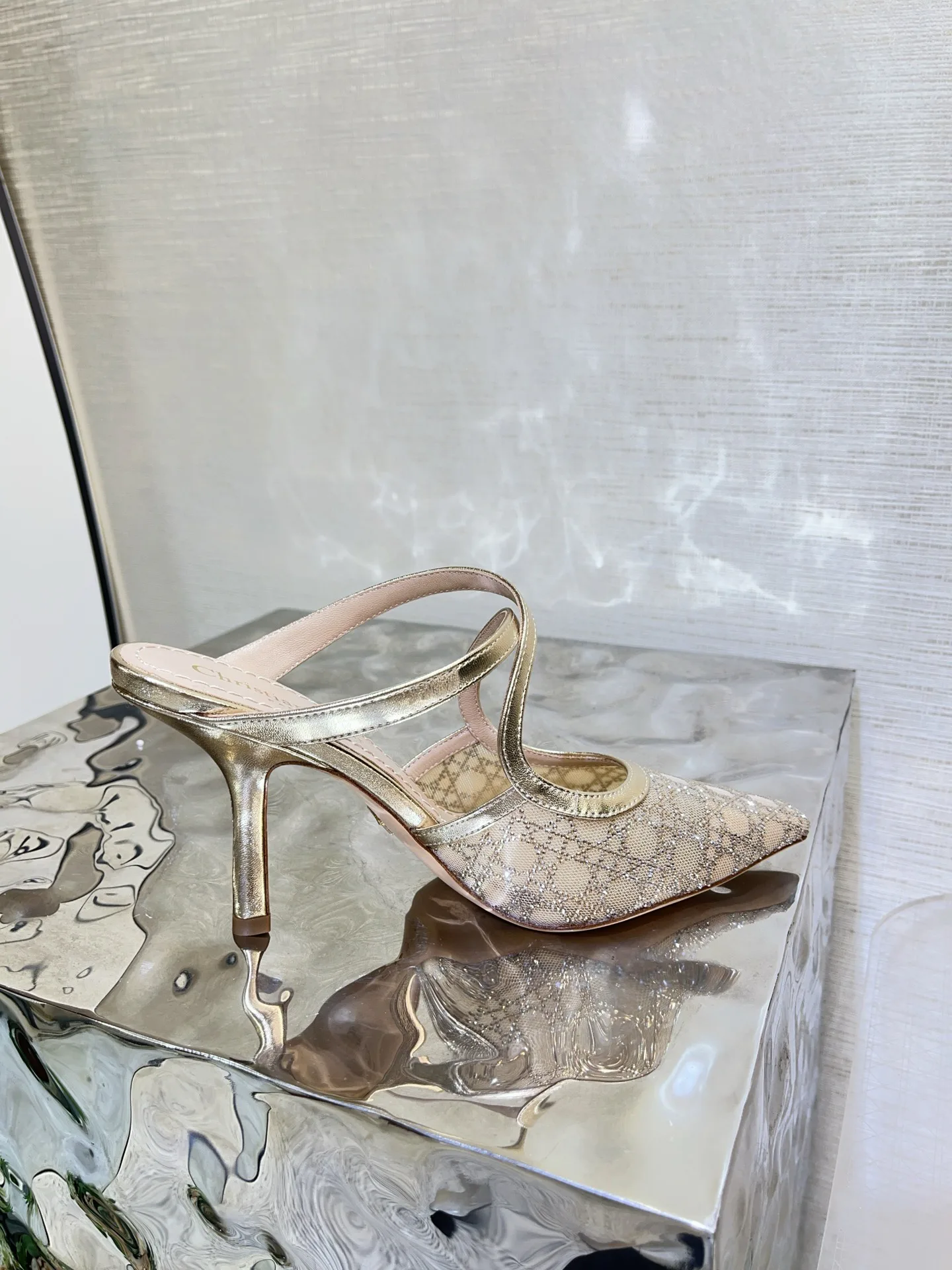 Туфли Женские Christian Dior 13559275