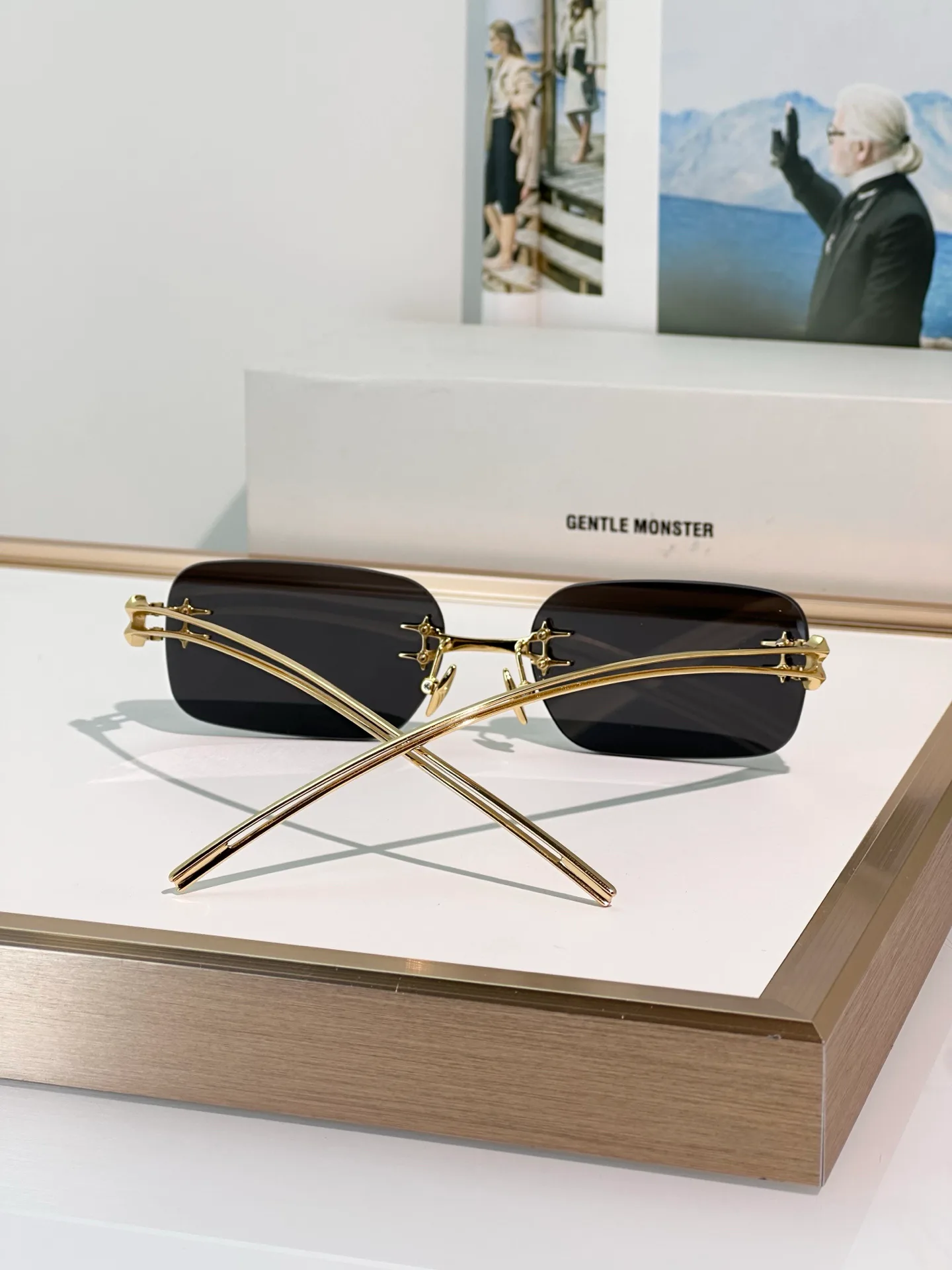 Очки Gentle Monster 1039236