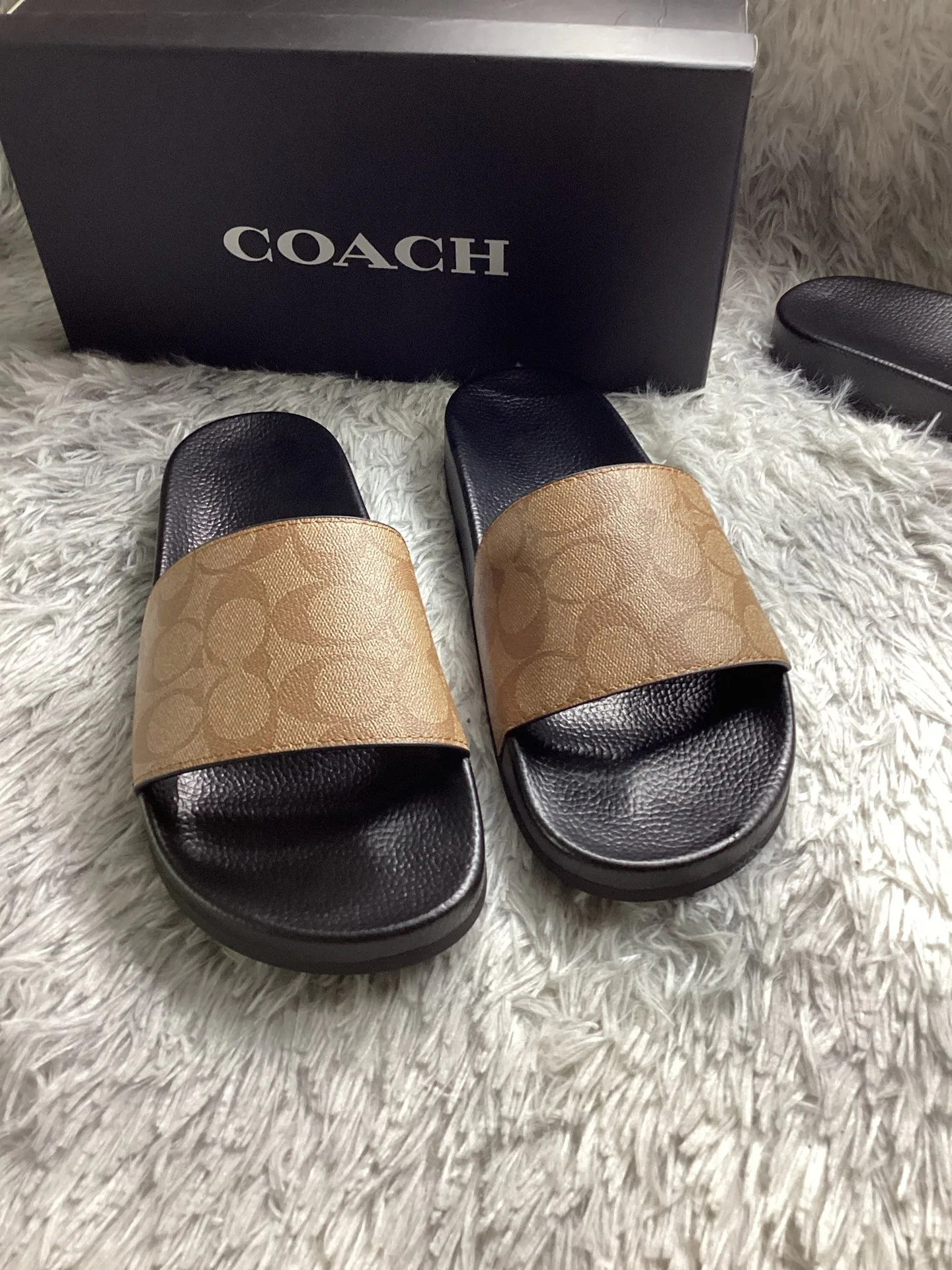 Тапочки Мужские Coach 13922287