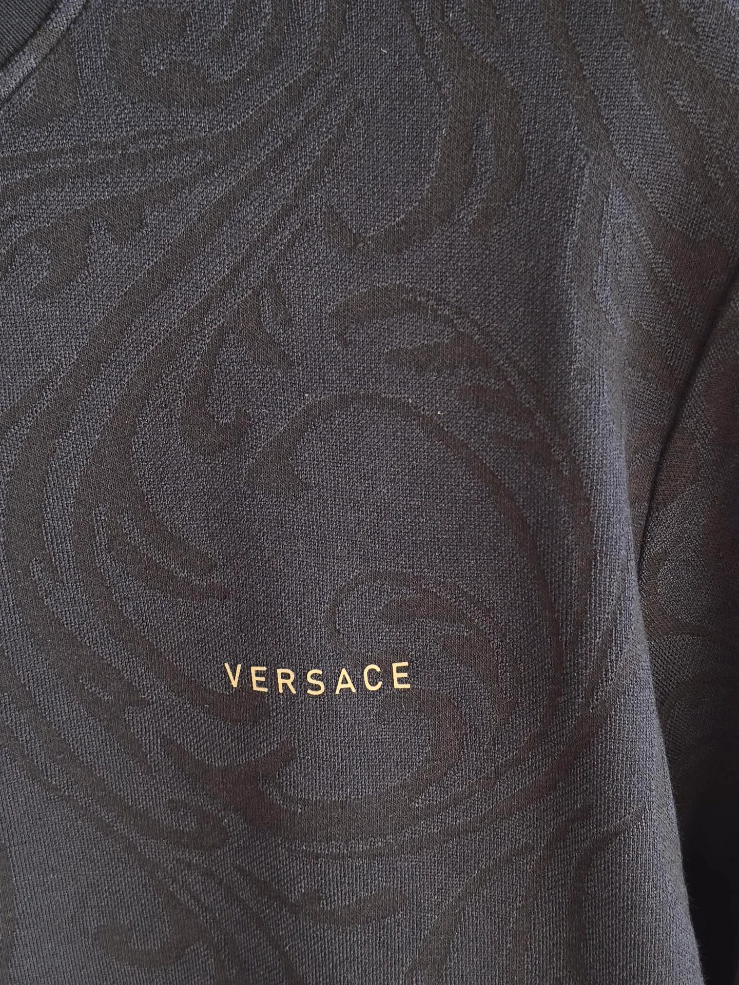 Свитшоты И Худи Мужские Versace 17944199