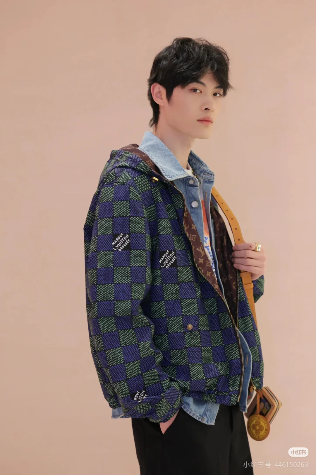 Куртки И Пуховики Мужские Louis Vuitton 11068136