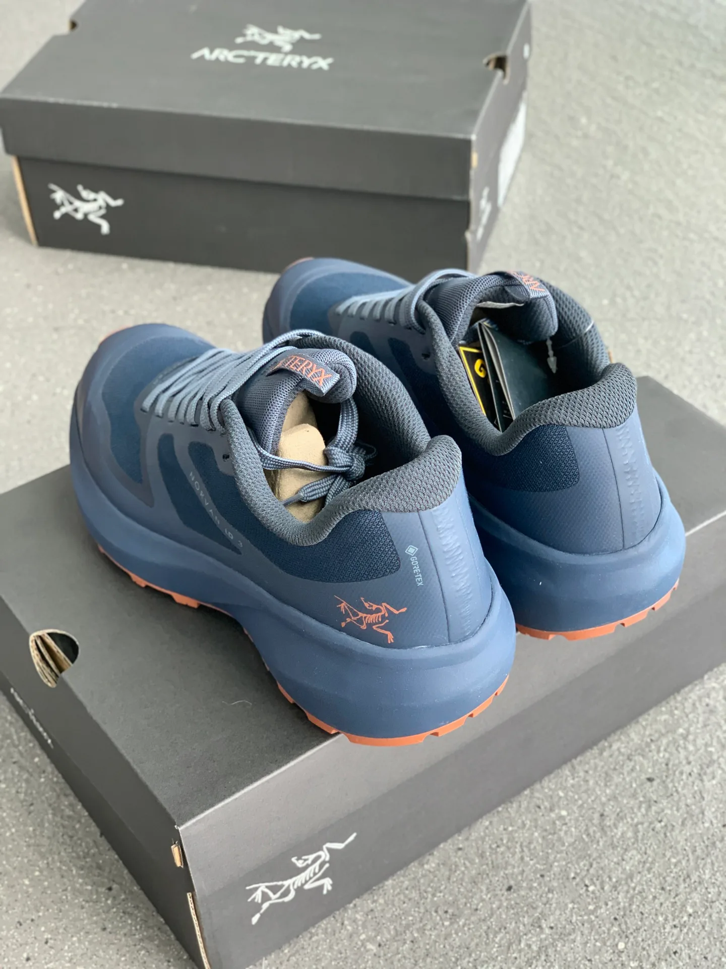 Кроссовки Женские Arcteryx 17675444