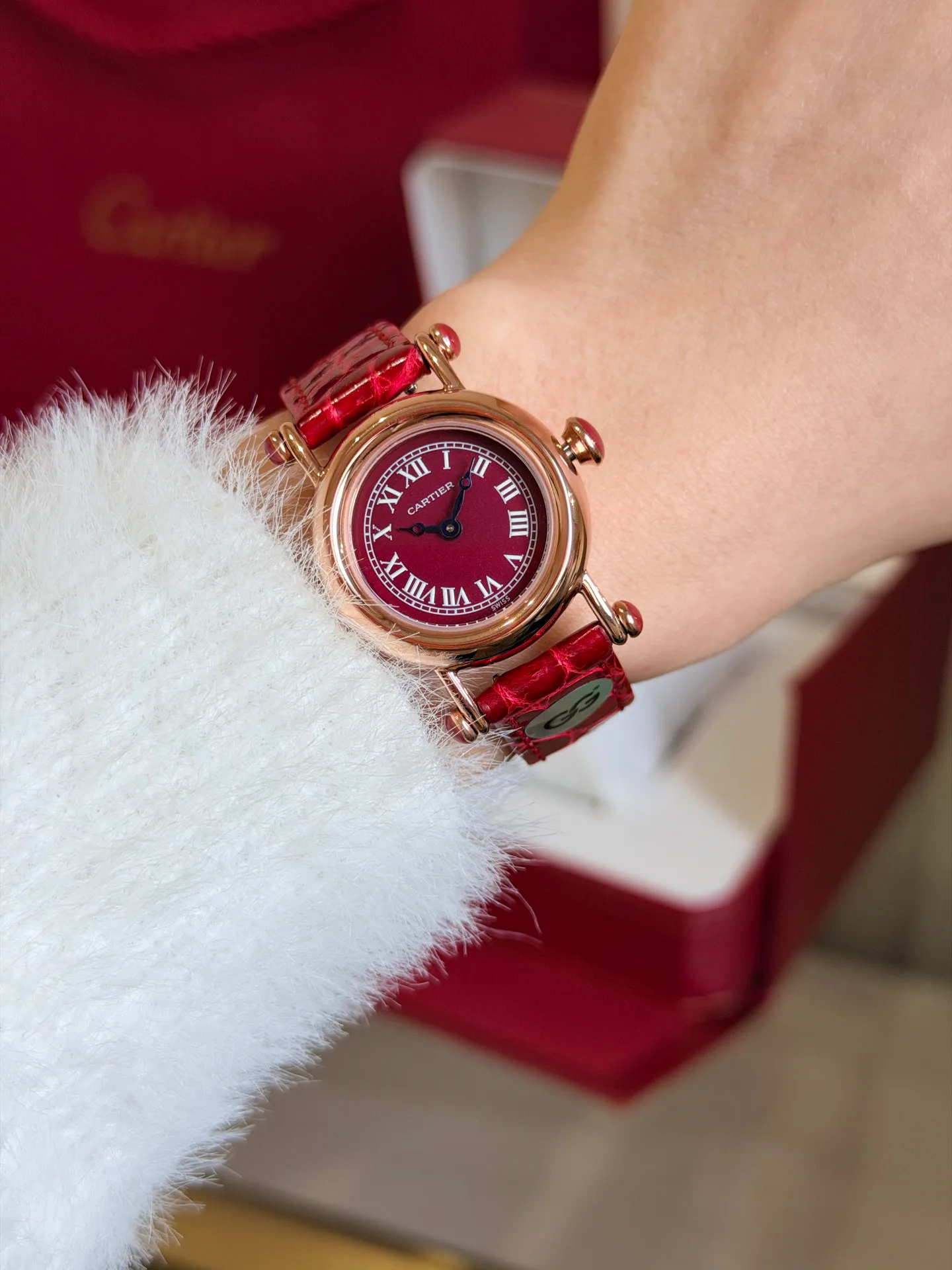 Часы Женские Cartier 18603711