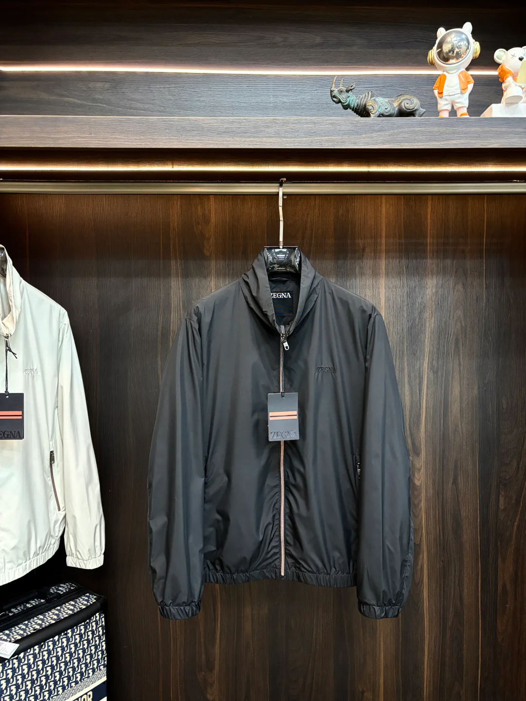 Куртки И Пуховики Мужские Zegna 11000590