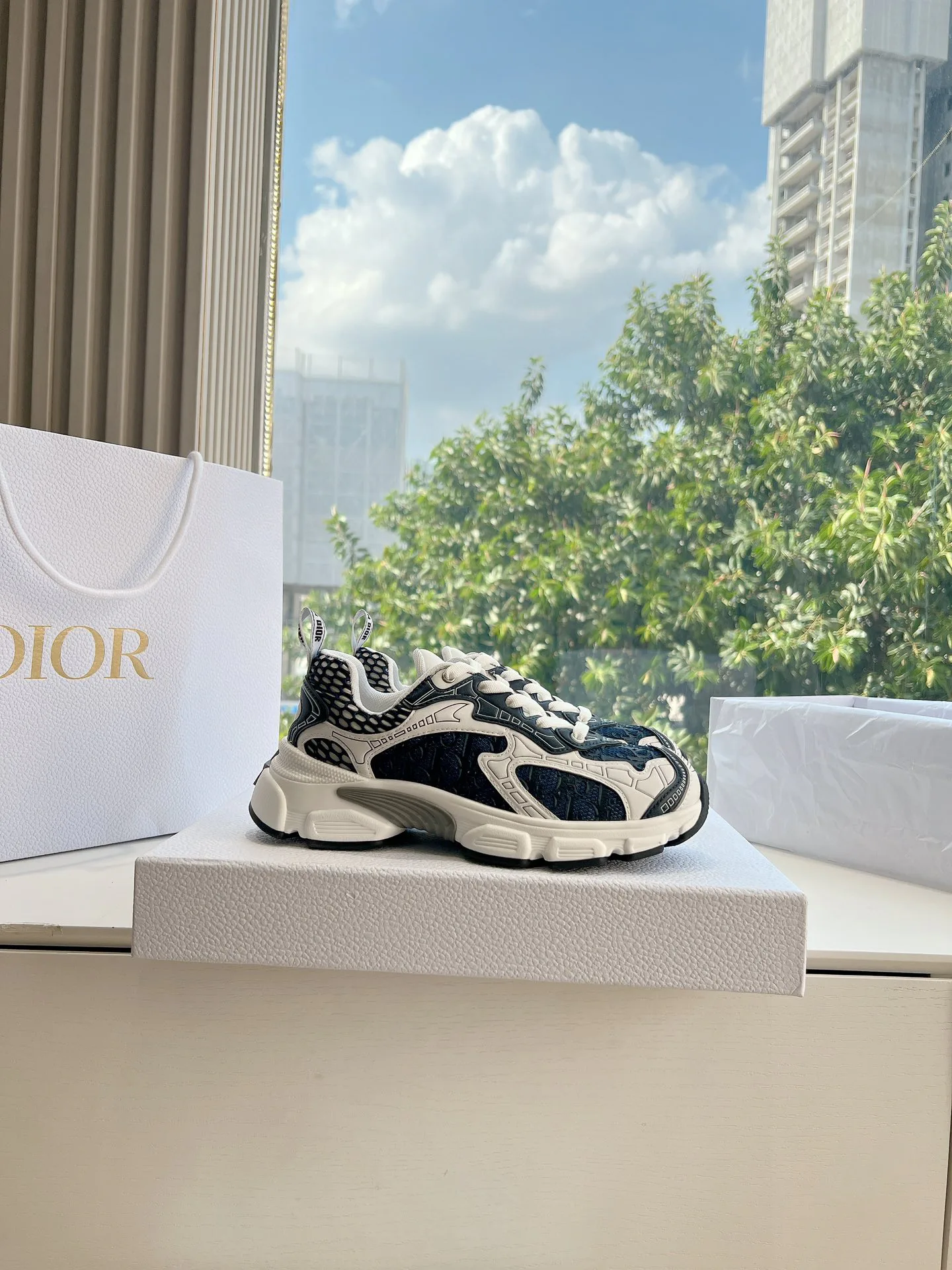 Кроссовки Женские Christian Dior 5064407