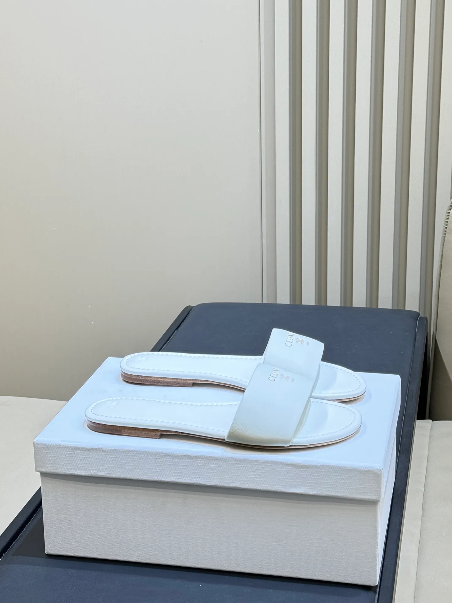 Шлепанцы Женские Celine 5024401