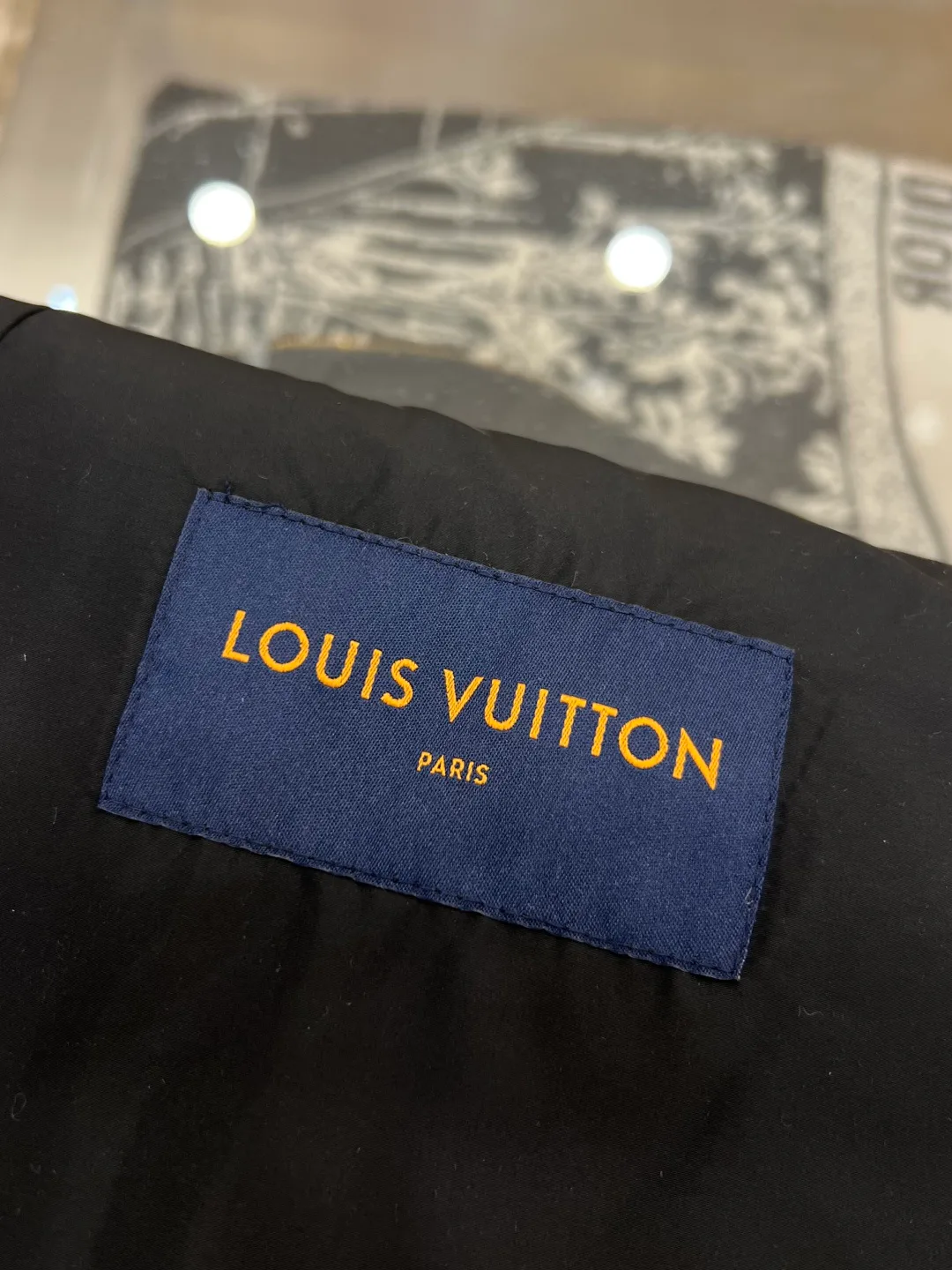 Куртки И Пуховики Мужские Louis Vuitton 17480504