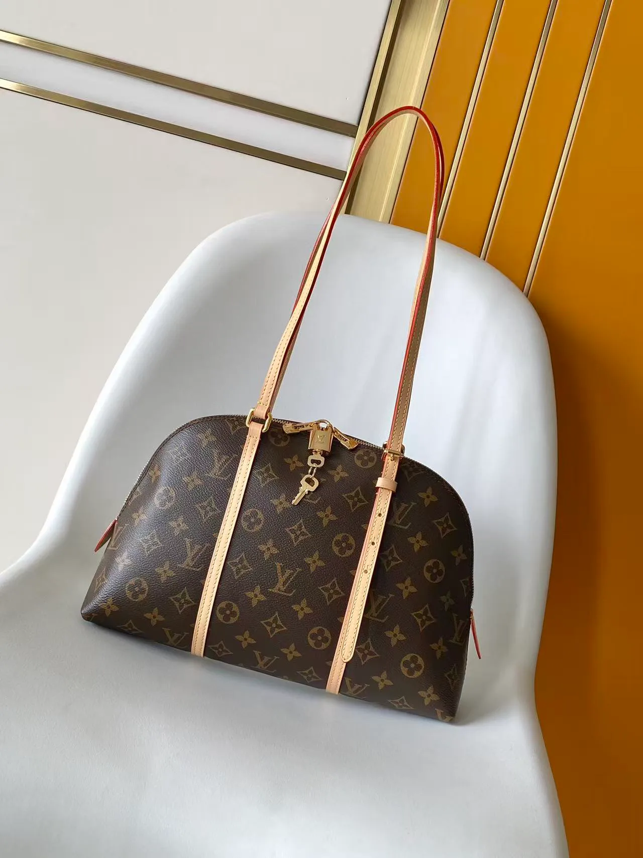 Классические Сумки Женские Louis Vuitton 11872304