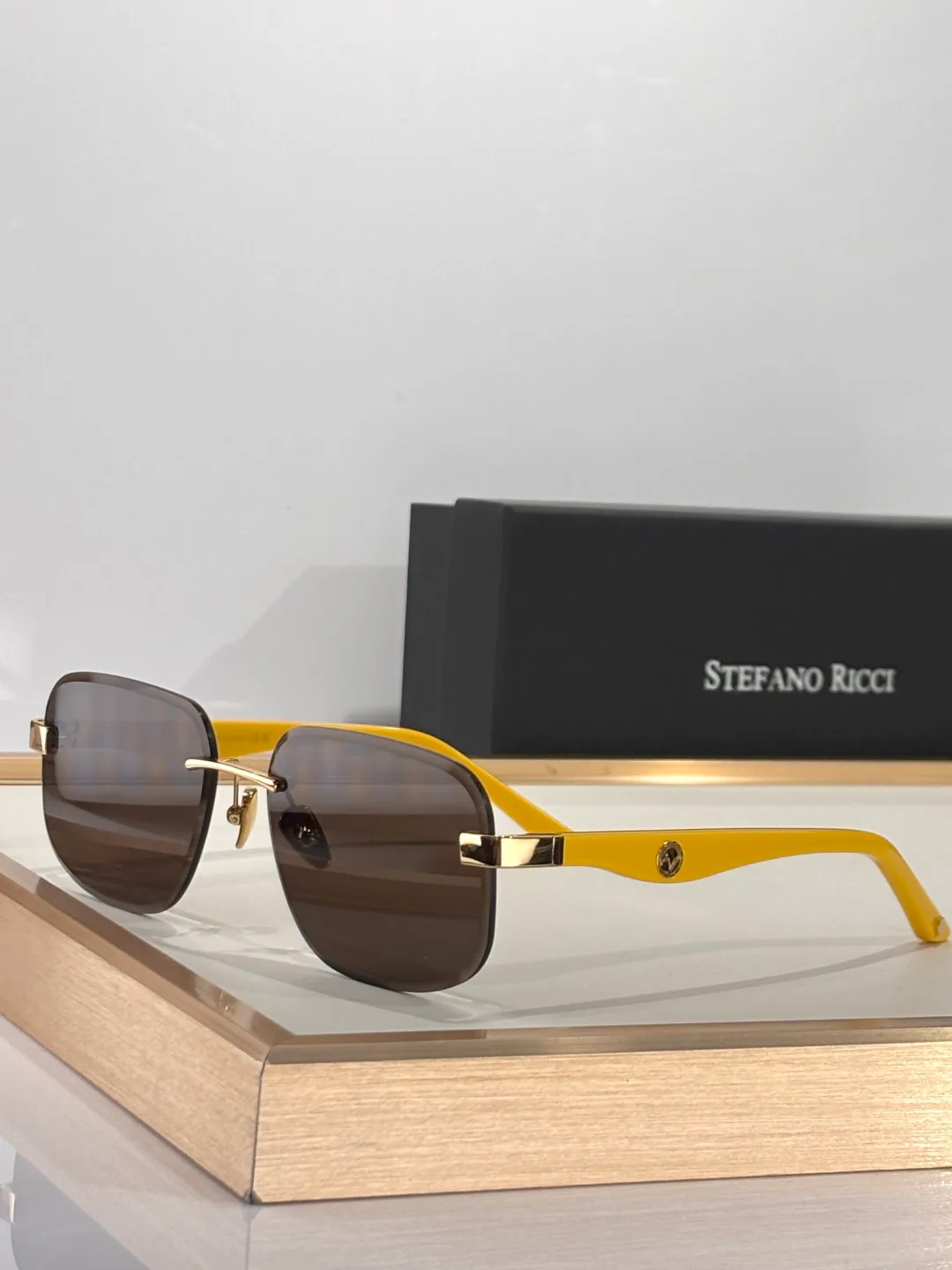 Очки Stefano Ricci 9607553