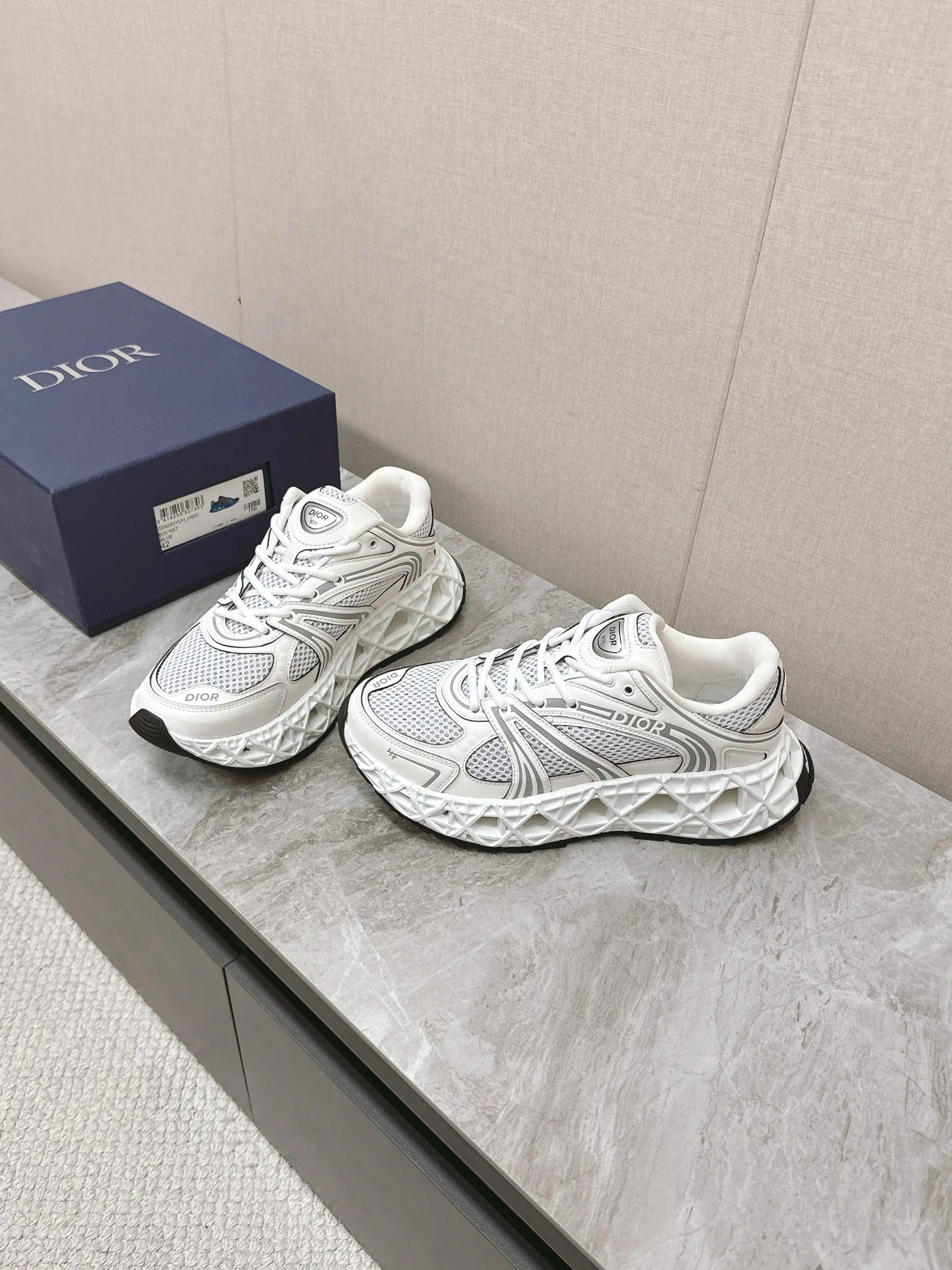 Кроссовки Мужские Christian Dior 22154