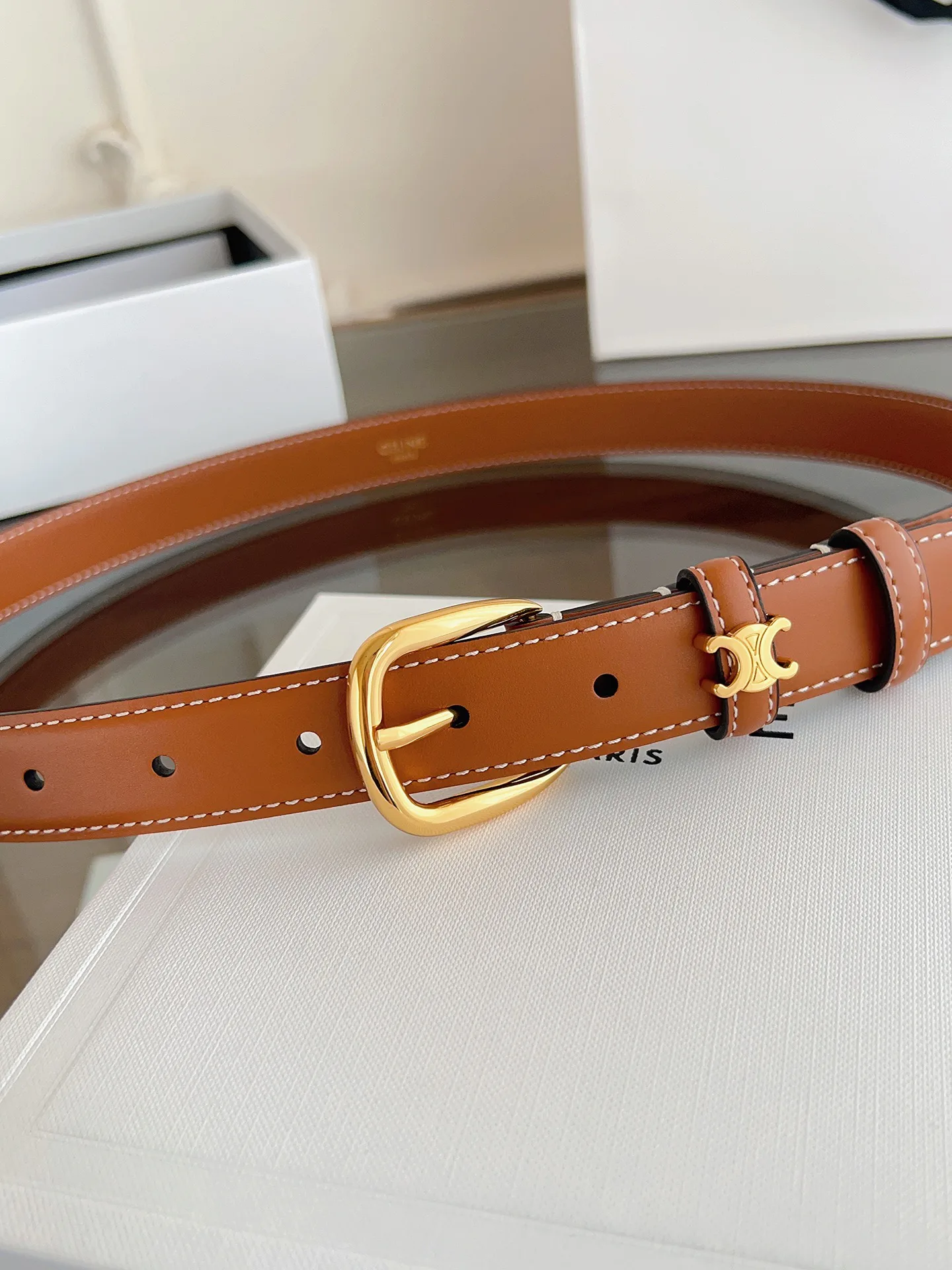 Поясные Сумки Женские Celine 11565836