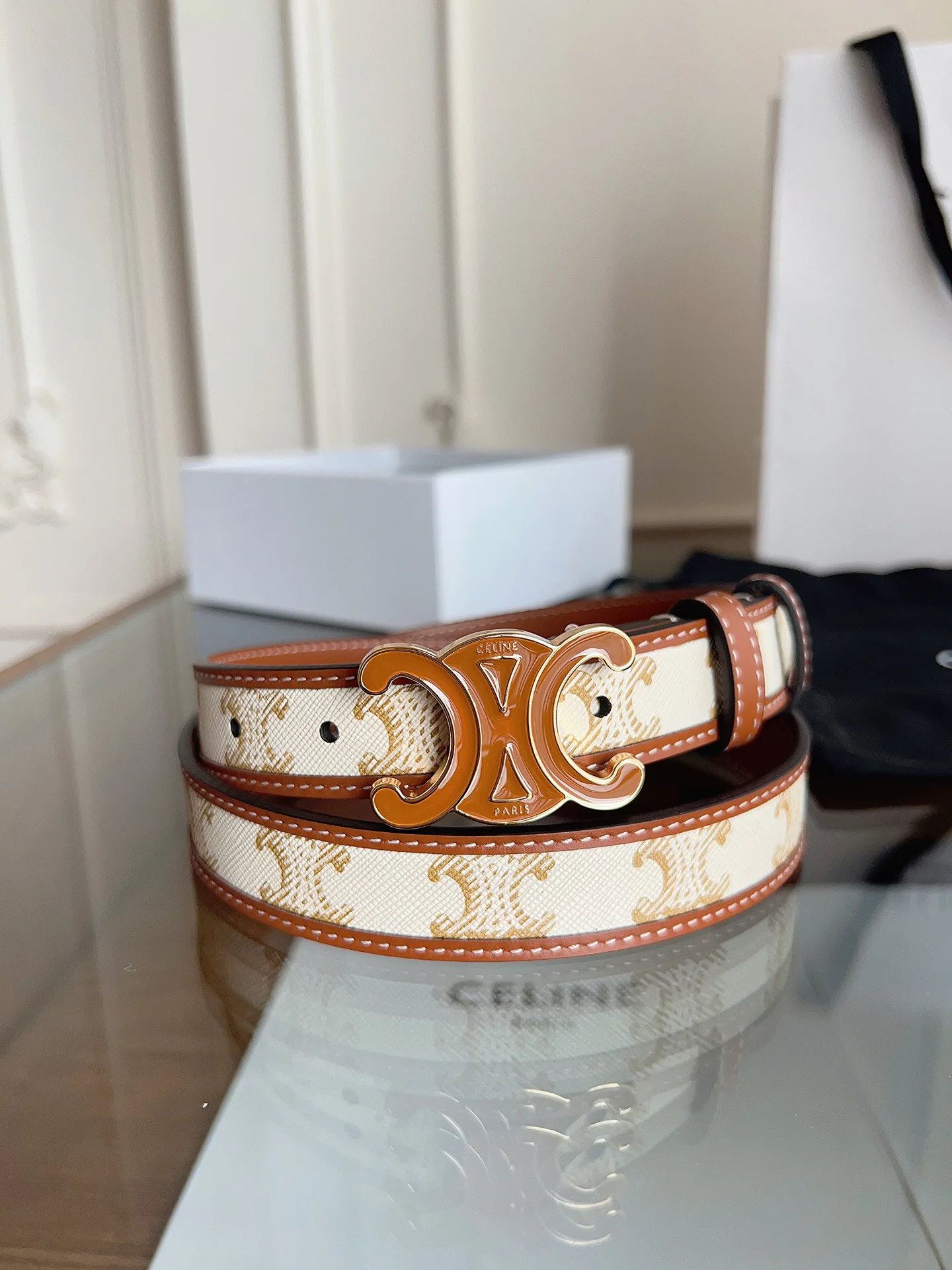 Поясные Сумки Женские Celine 11565848