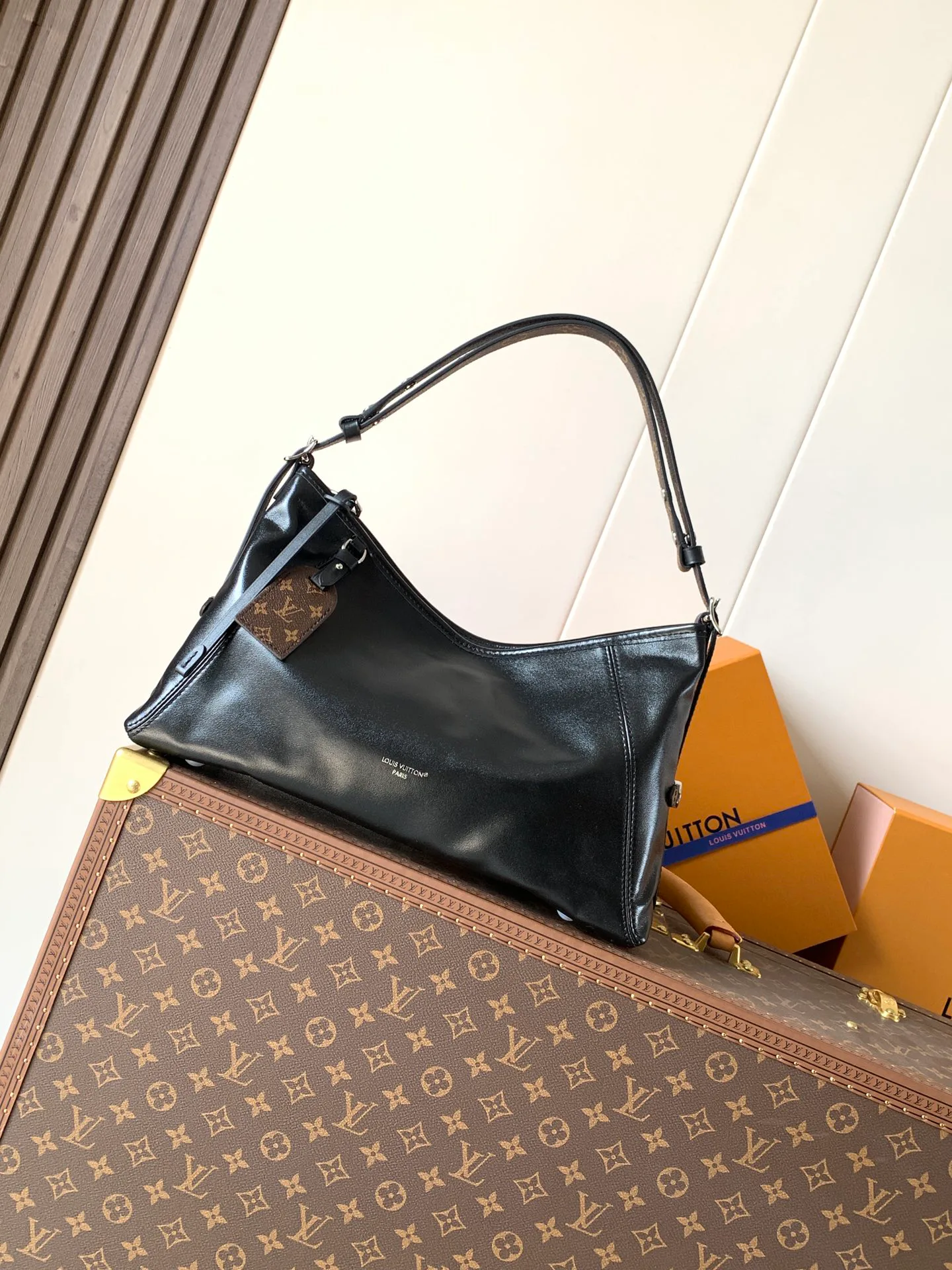 Классические Сумки Женские Louis Vuitton 11619855