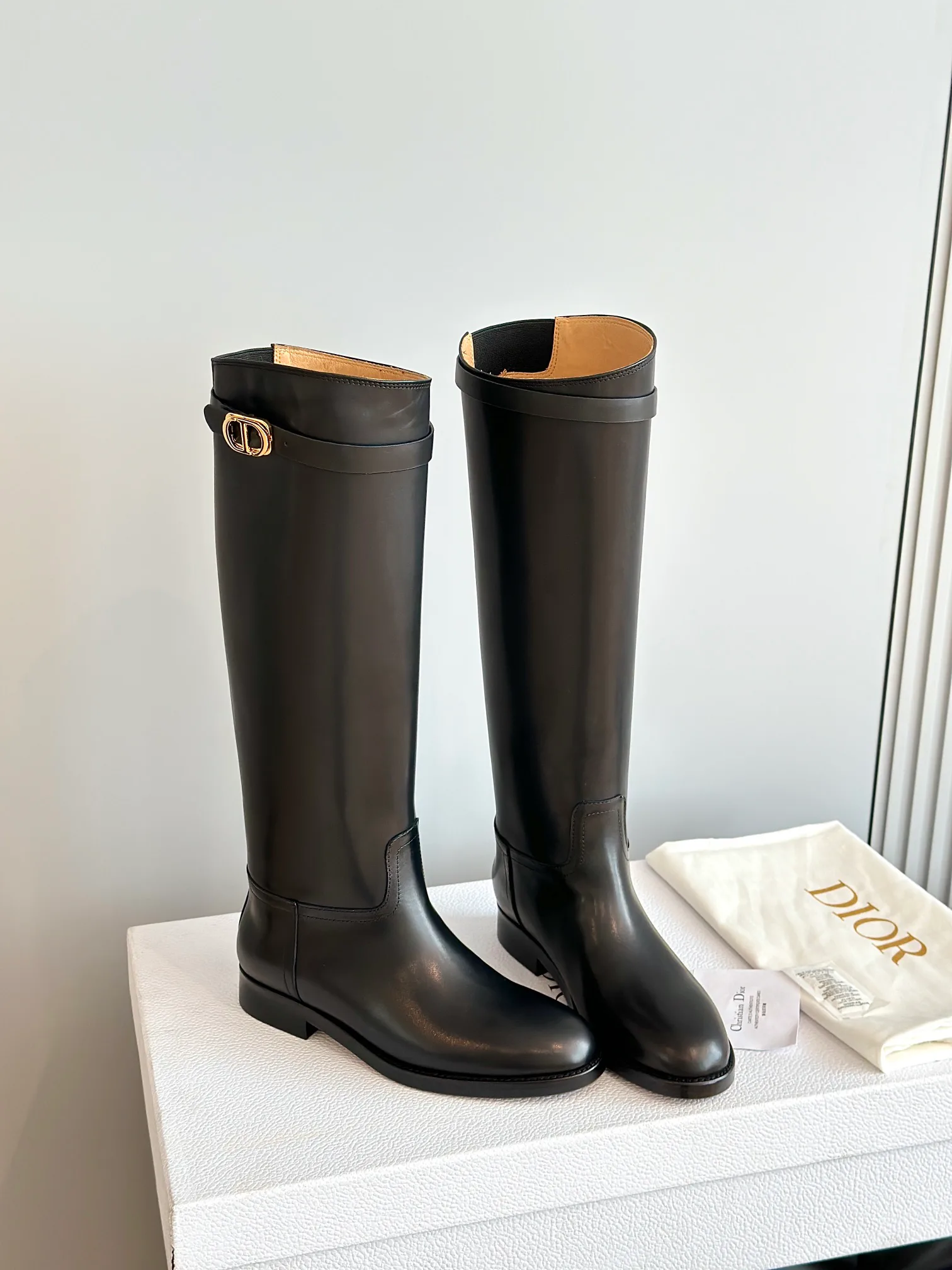Сапоги Женские Christian Dior 18243654