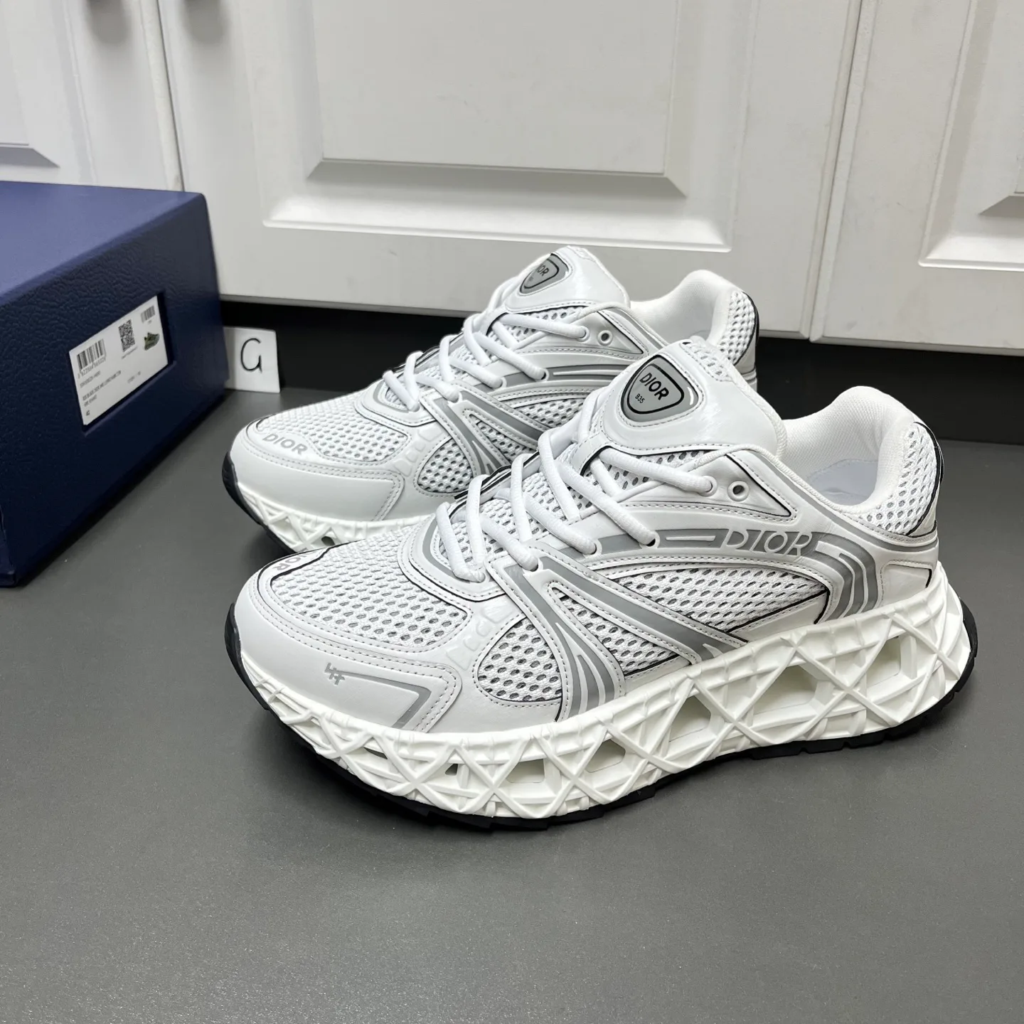 Кроссовки Мужские Christian Dior 11456602