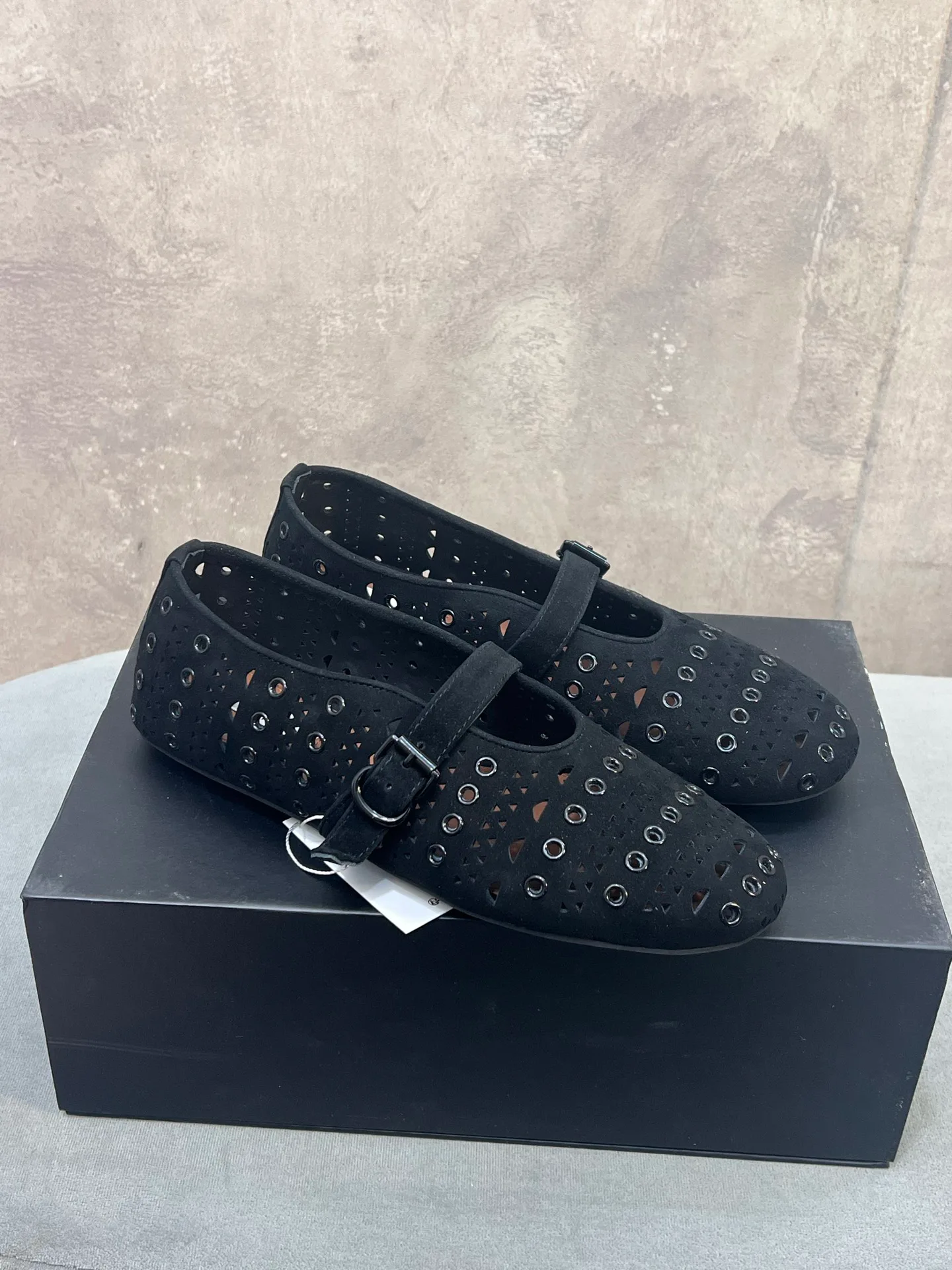 Балетки Женские Alaia 2201011