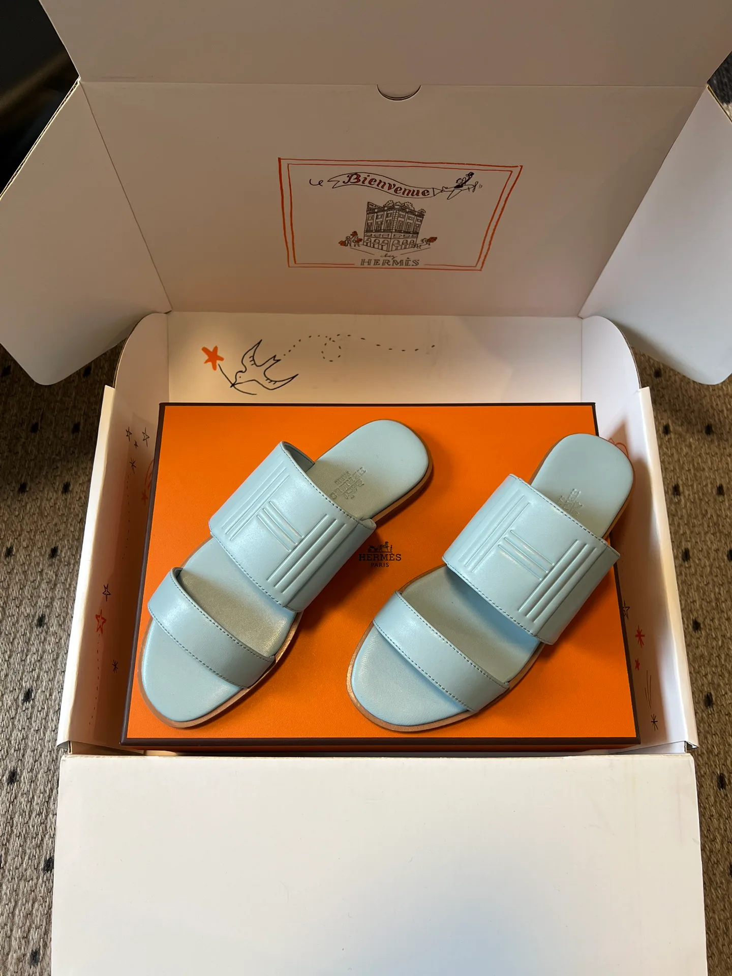 Шлепанцы Женские Hermes 10209588
