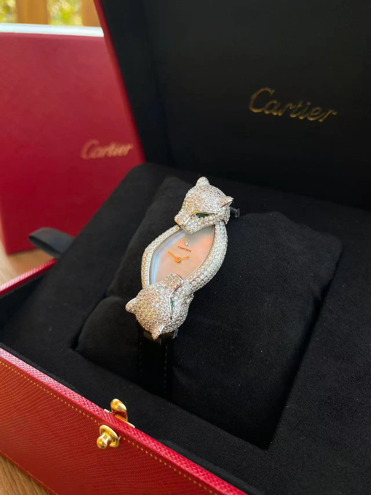 Часы Женские Cartier 2971648