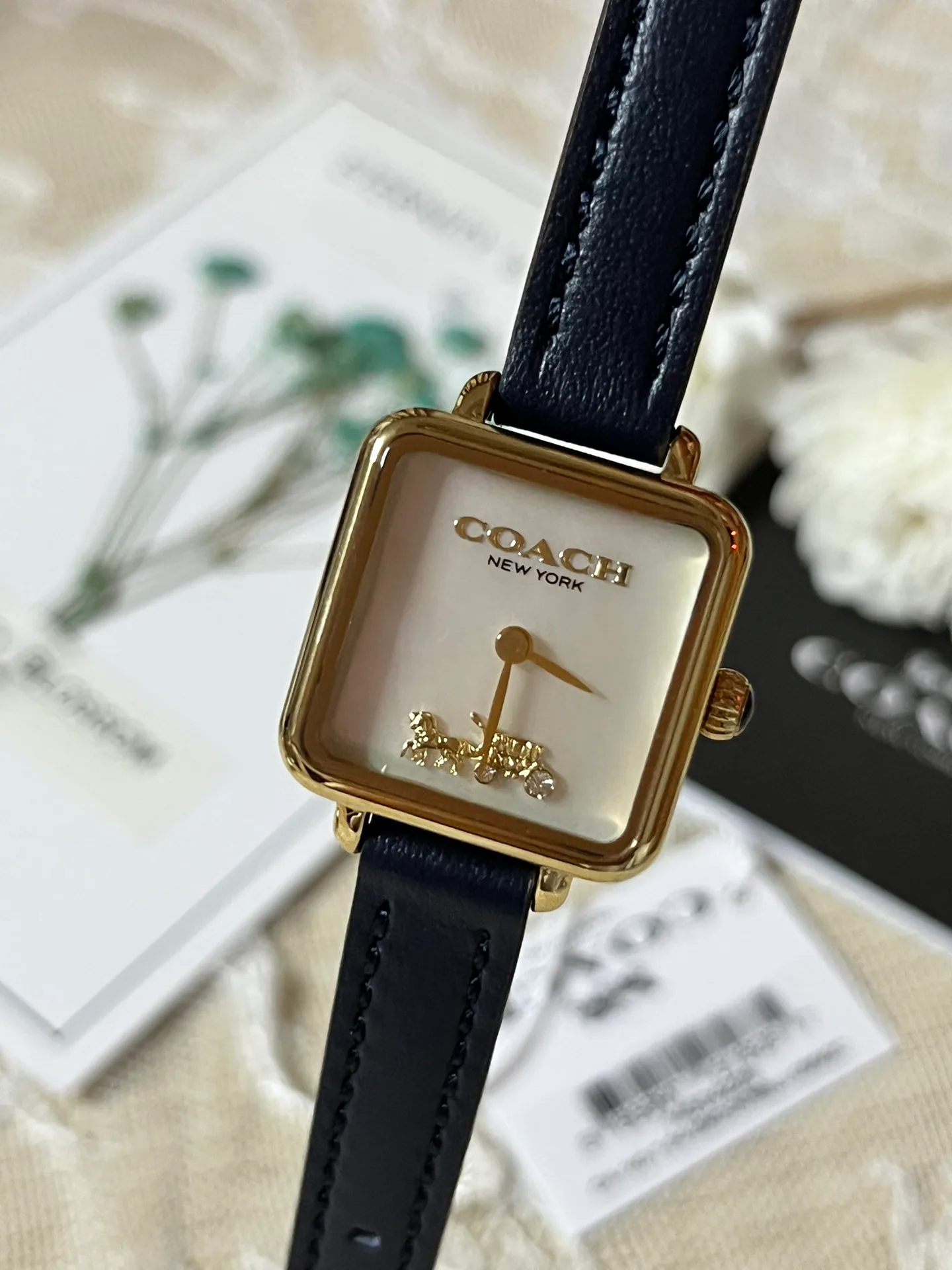 Часы Женские Coach 1288116