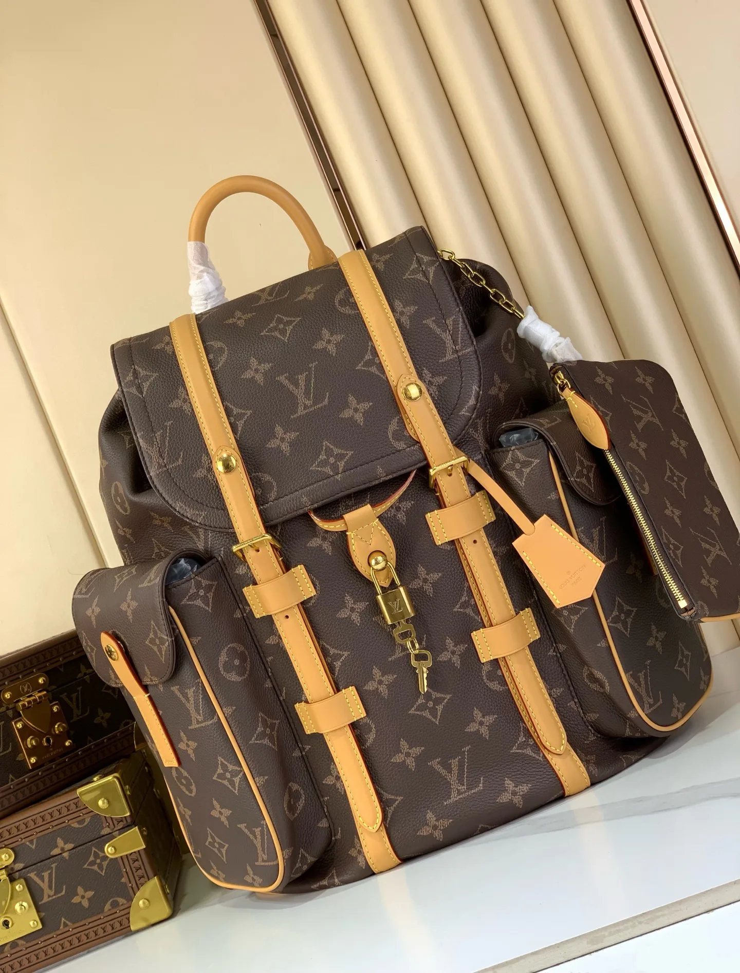 Классические Сумки Женские Louis Vuitton 12623277