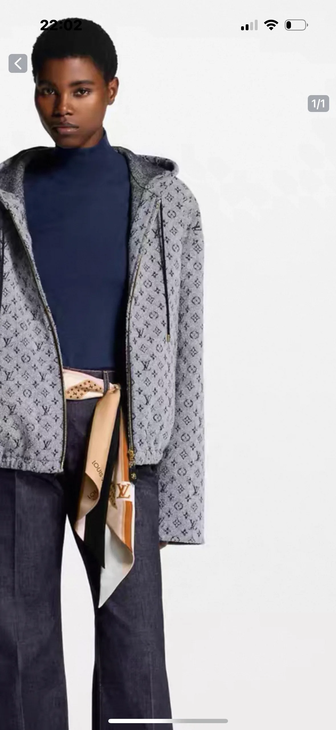 Куртки И Пуховики Женские Louis Vuitton 917150