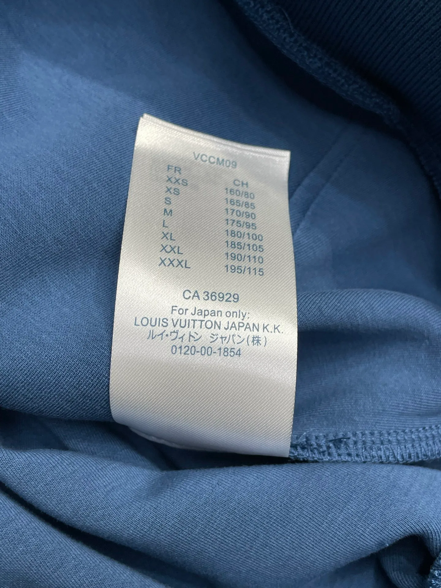 Спортивные Костюмы Мужские Louis Vuitton 65463