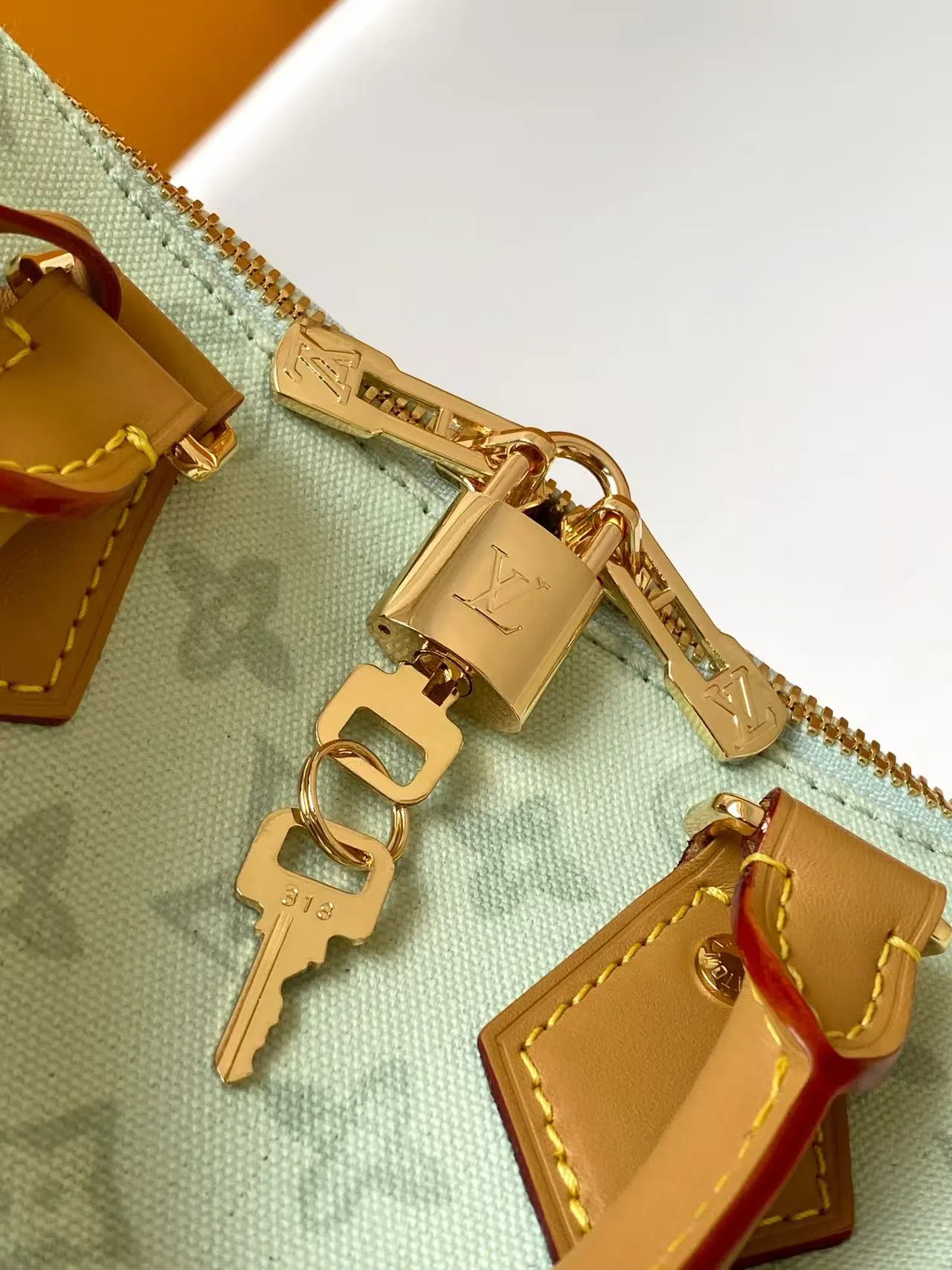 Классические Сумки Женские Louis Vuitton 3885450