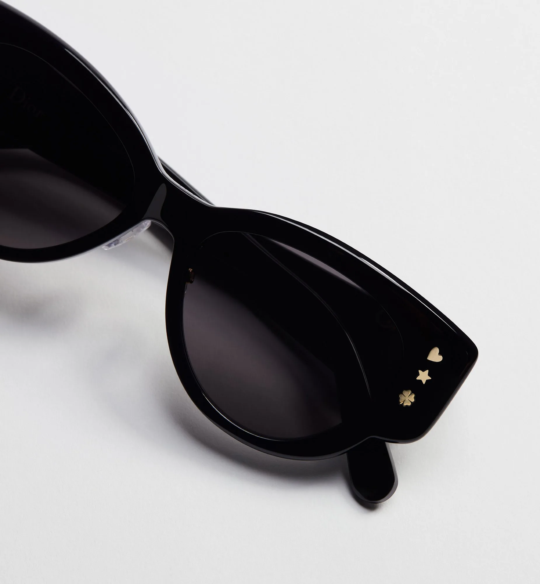 Очки Christian Dior 13541171