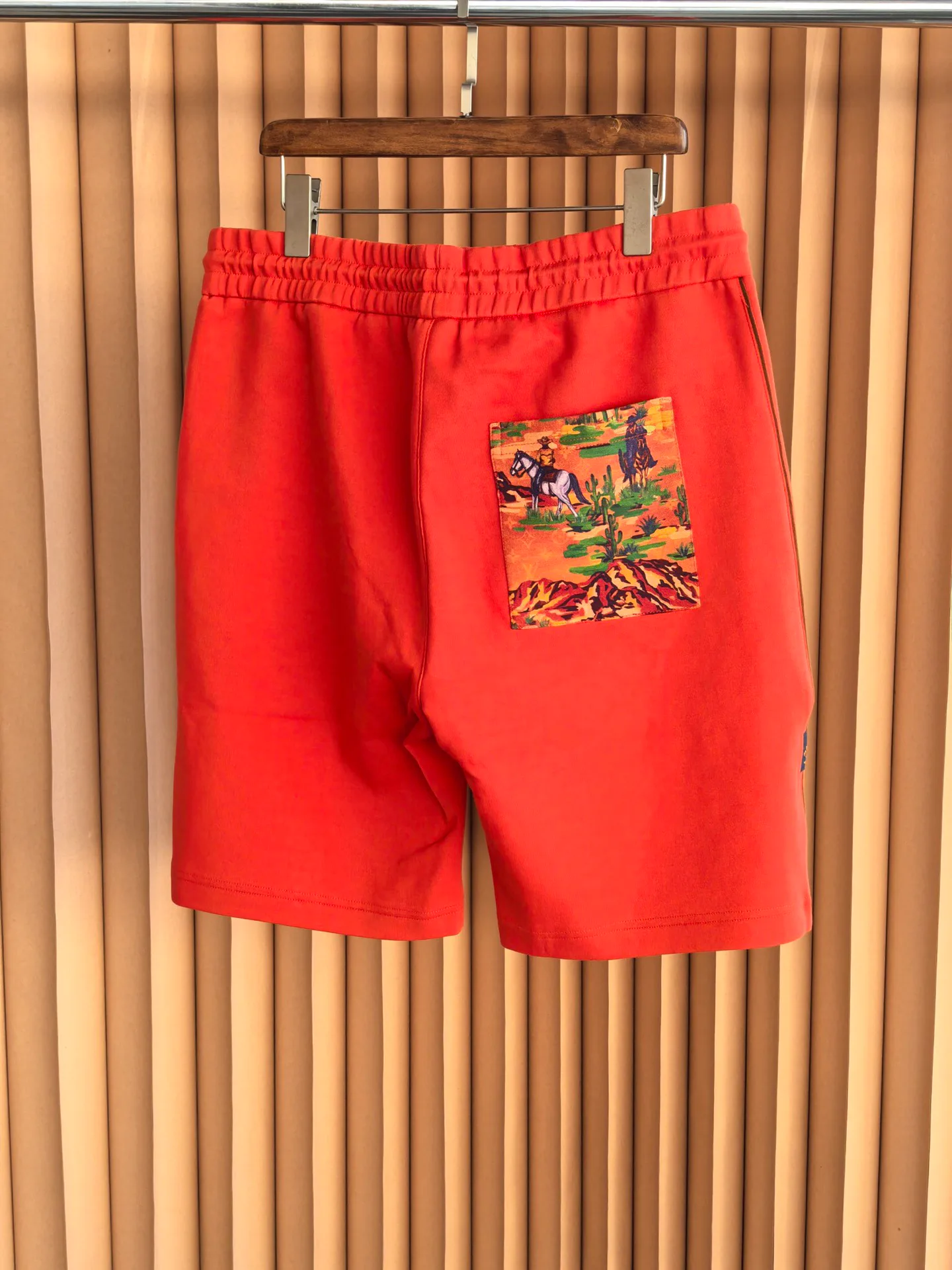 Шорты Мужские Louis Vuitton 11178123