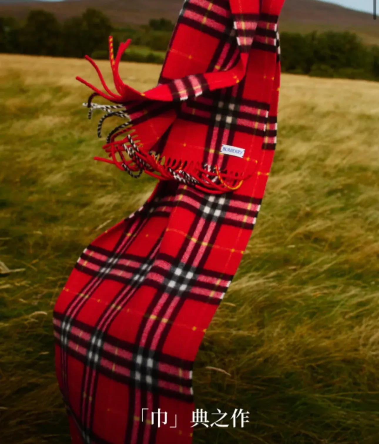 Шарфы Burberry 338167