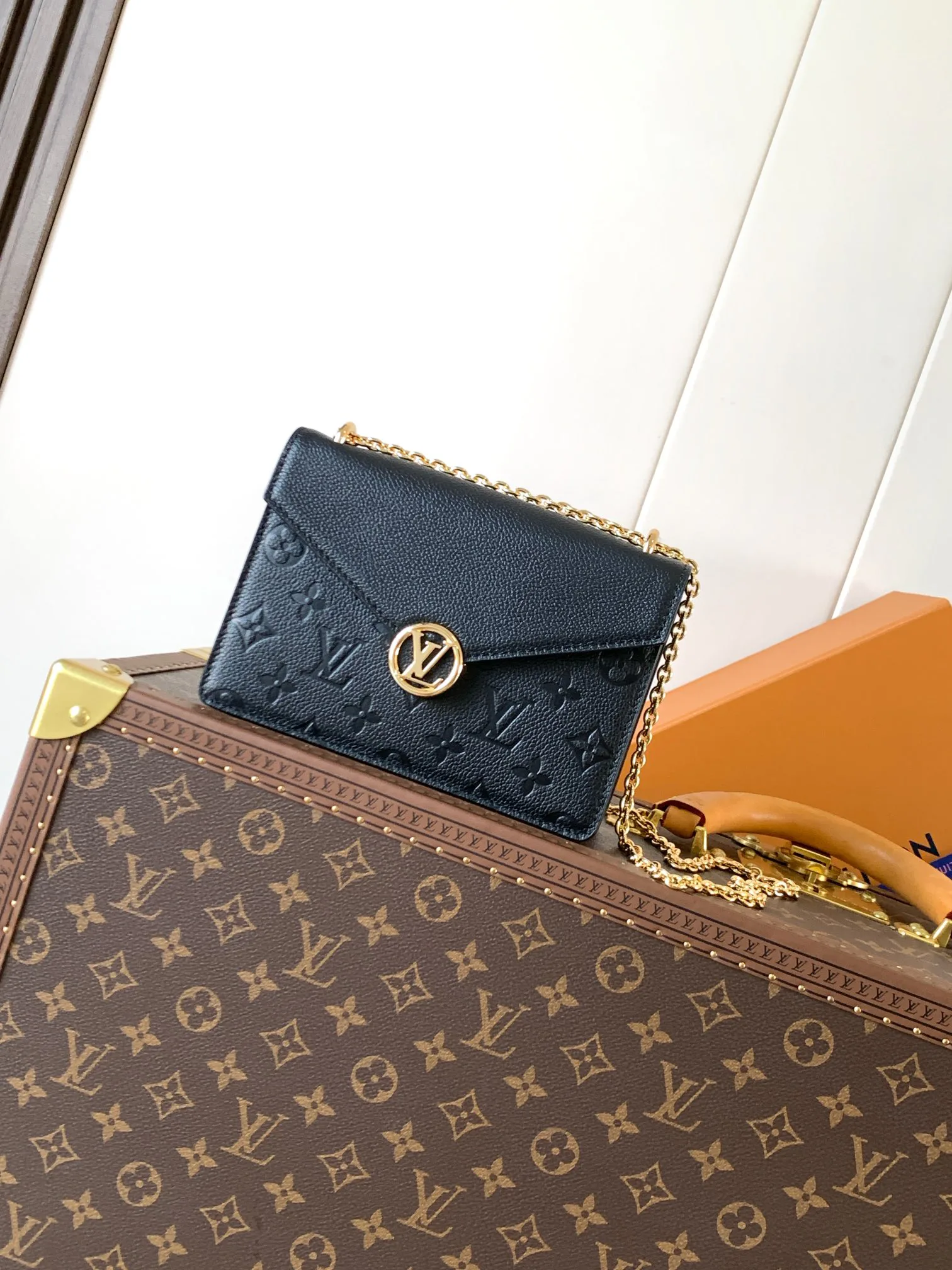 Клатчи Женские Louis Vuitton 11152604